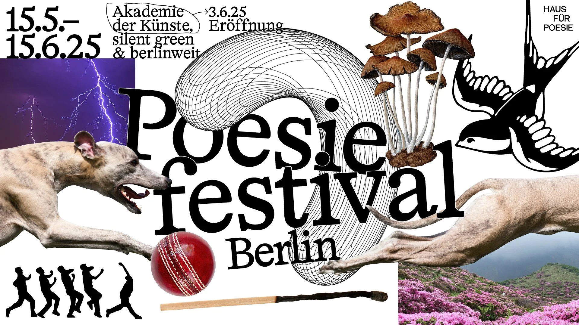 Poesie Festival image.jpeg