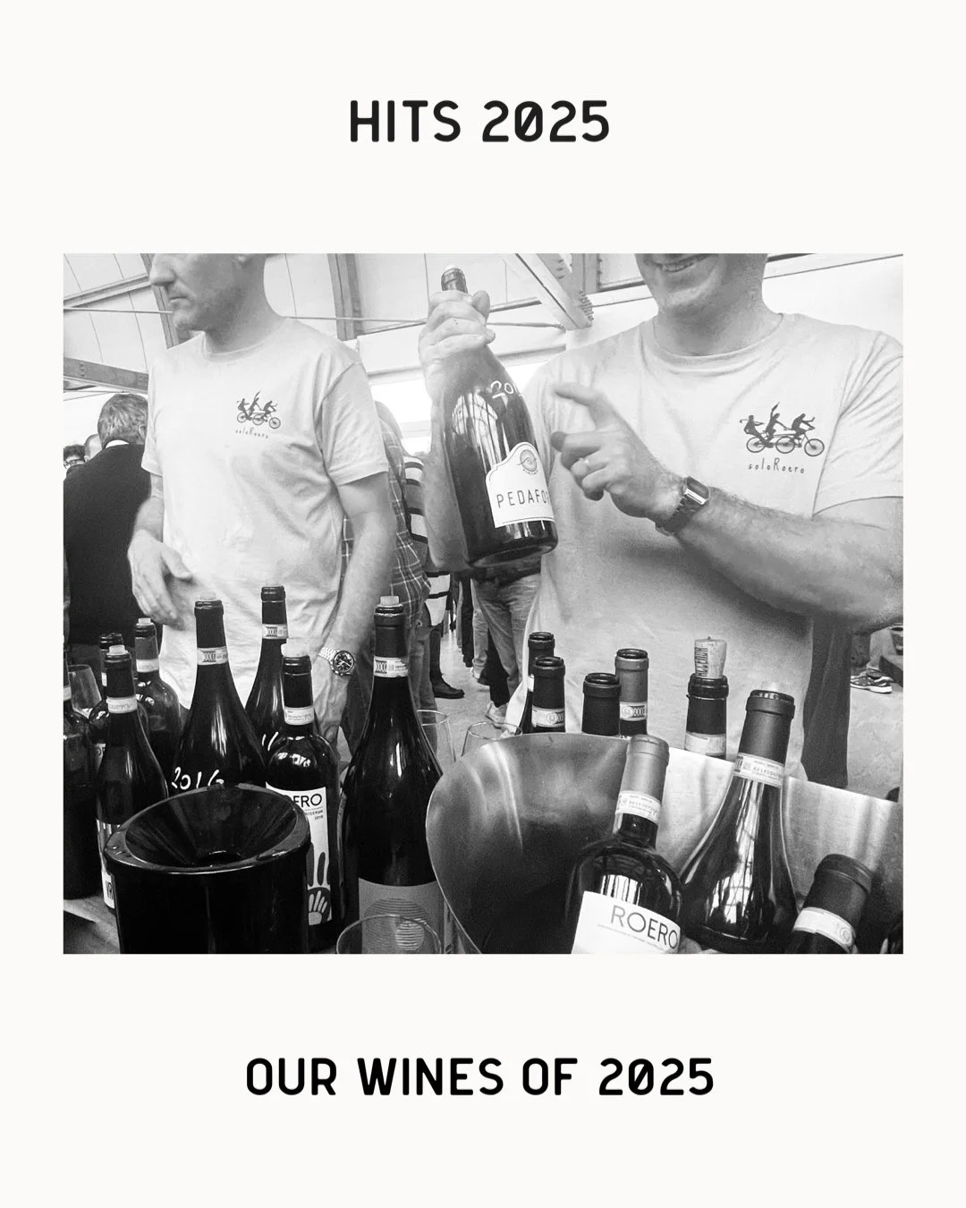 Our Picks 2025