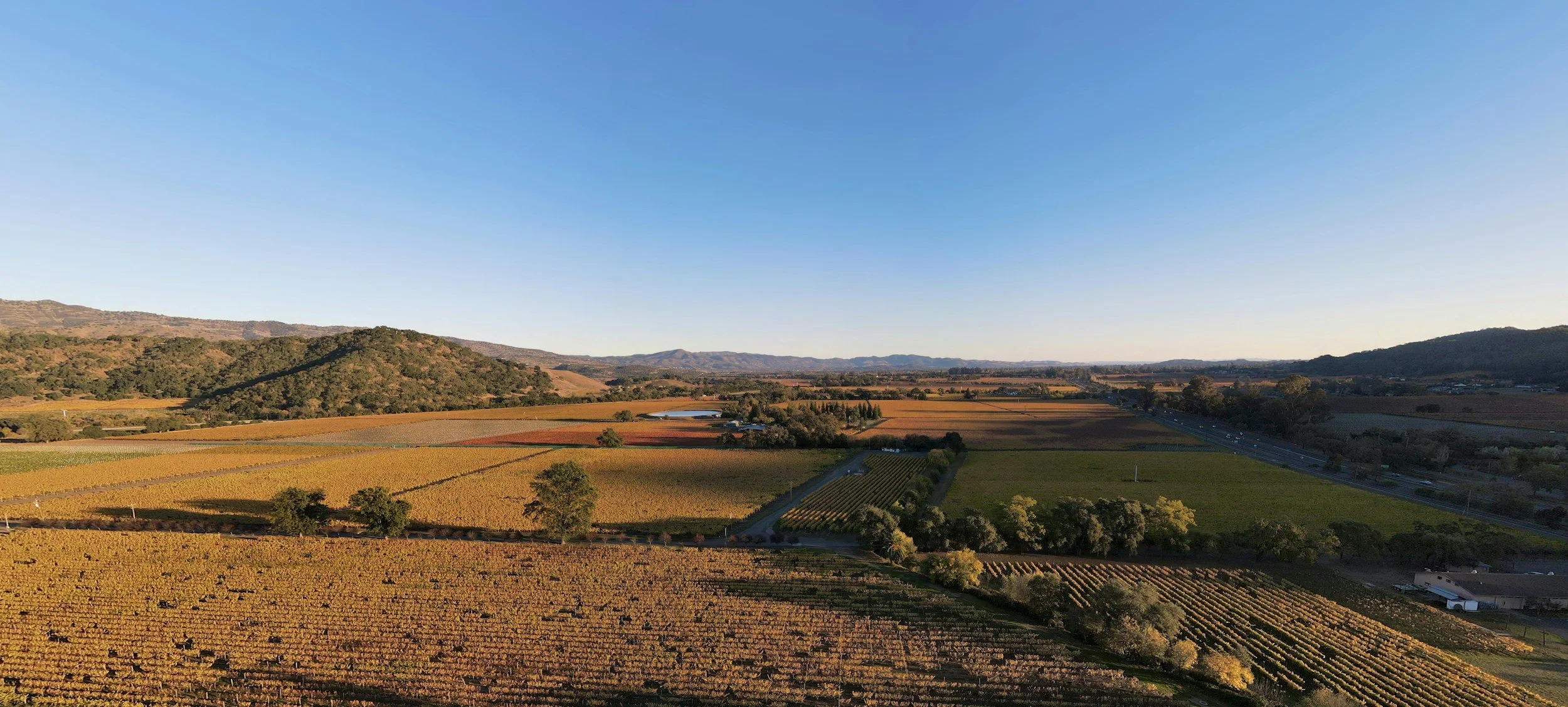 When the Dream Sours: California Wineries Sit Unsold as Owners Walk Away