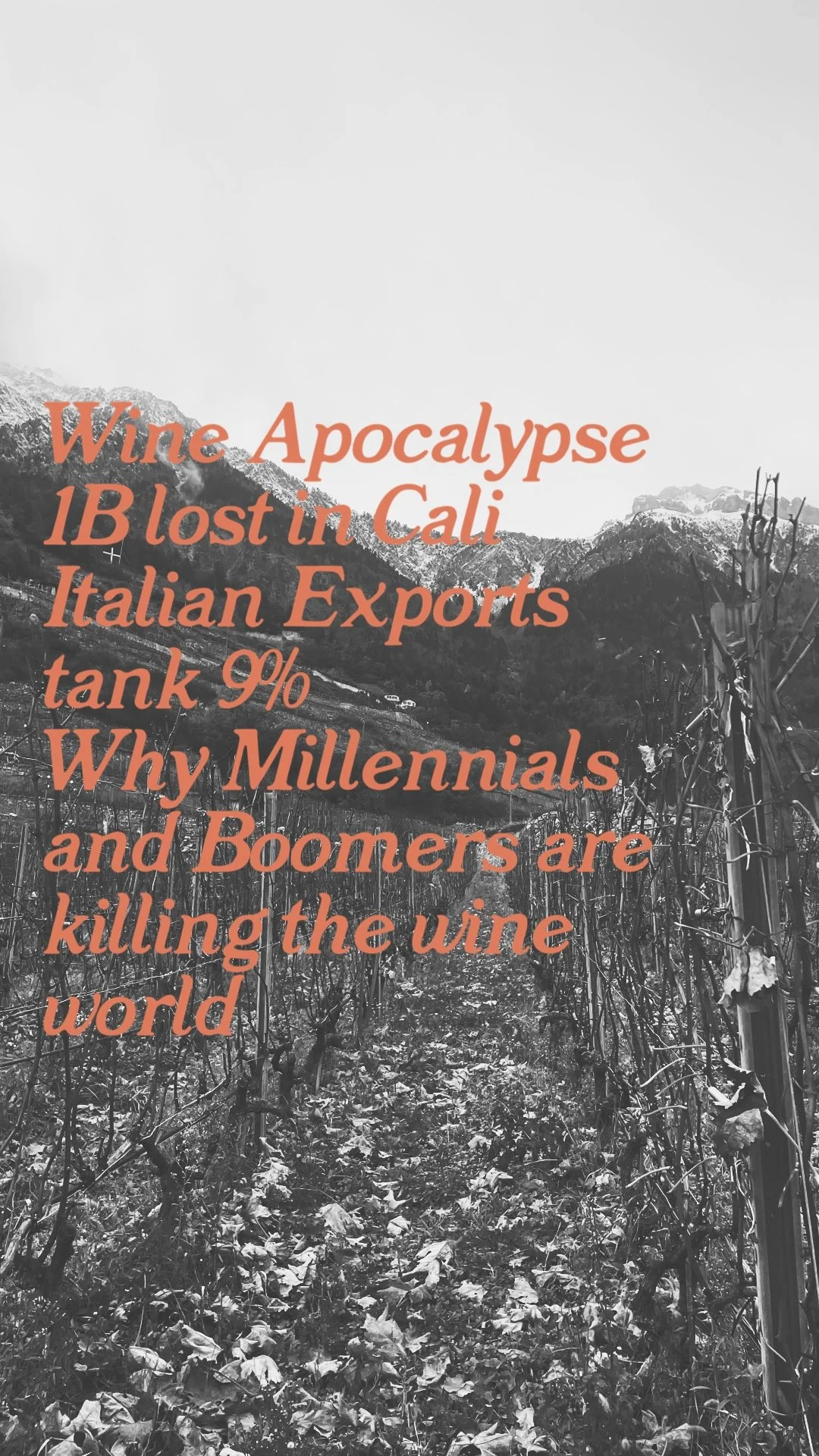 This Weeks Wine News.