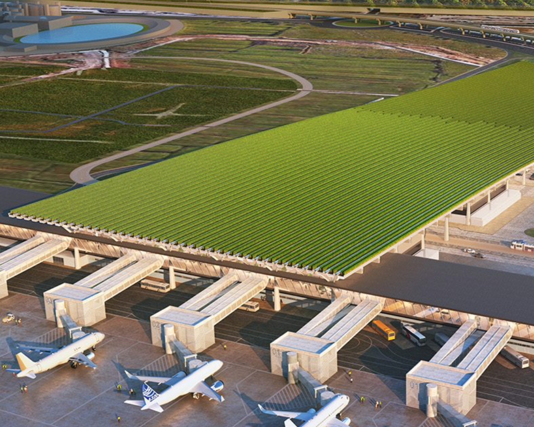 The Vineyards in the Sky: How Florence's Airport is Growing Wine on its Roof