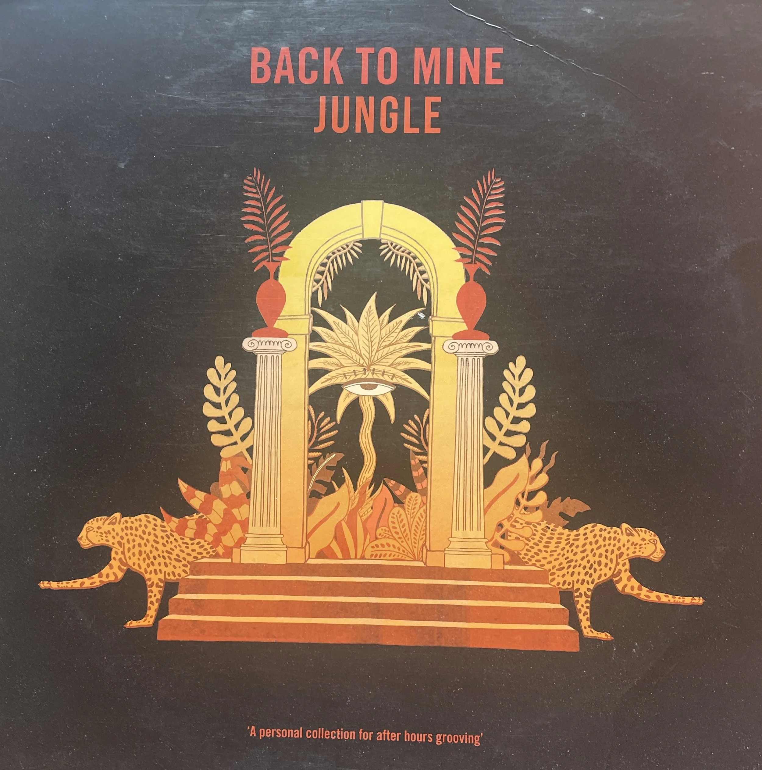 Back to Mine Jungle.