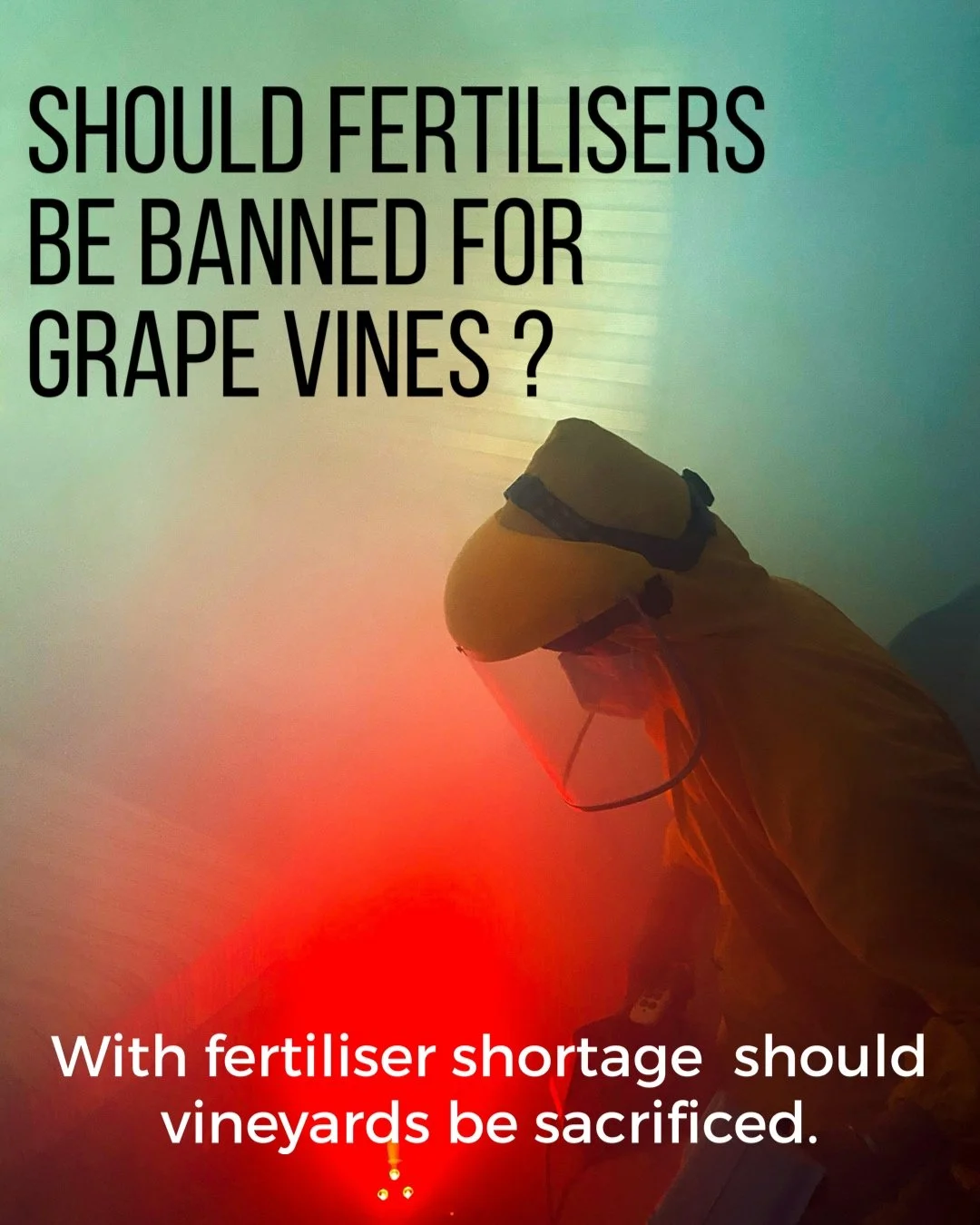 Should Fertiliser be banned for Grape Vines ?