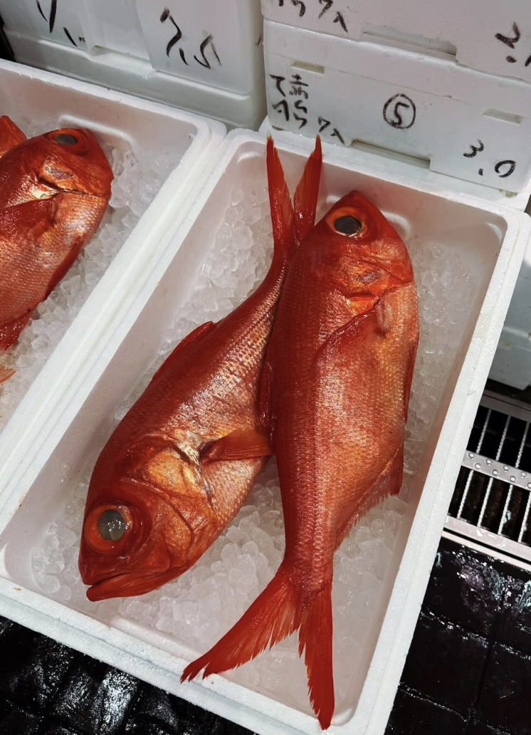 Screenshot 2026-04-13 at 09.28.04.png