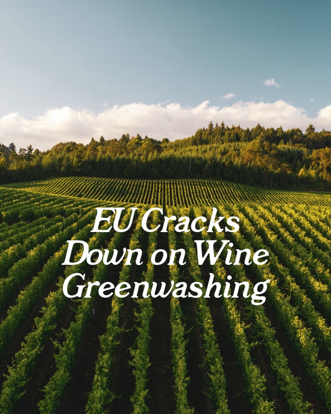 EU Cracks Down on Wine Greenwashing
