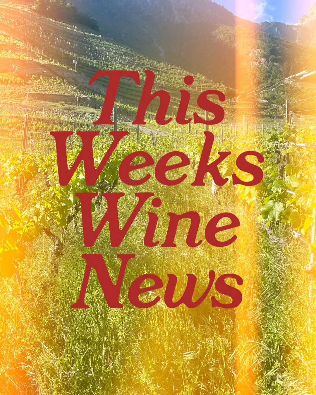 The Weeks Wine News