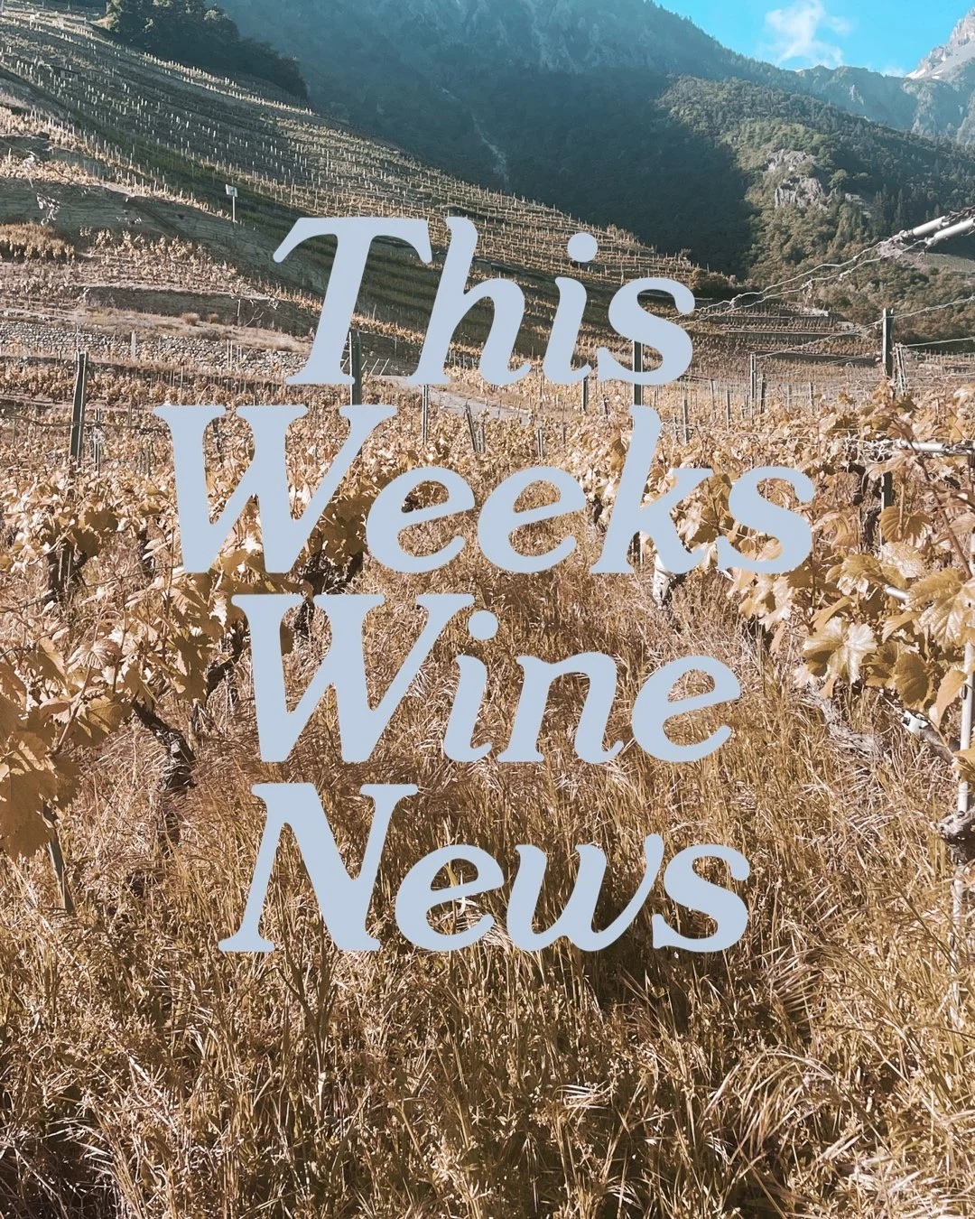 This Weeks Wine News