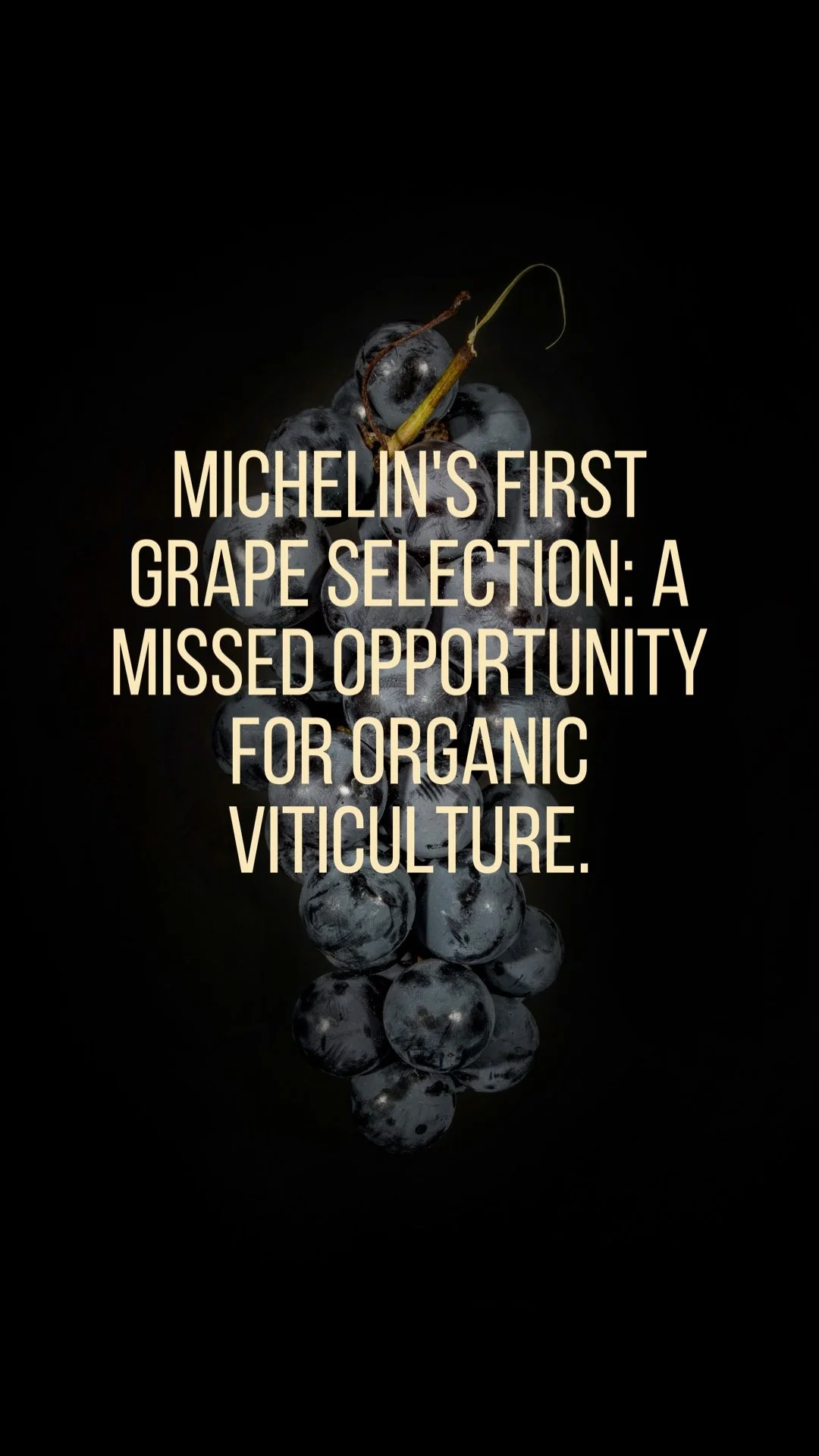 Michelin's First Grape Selection: A Missed Opportunity for Organic Viticulture.