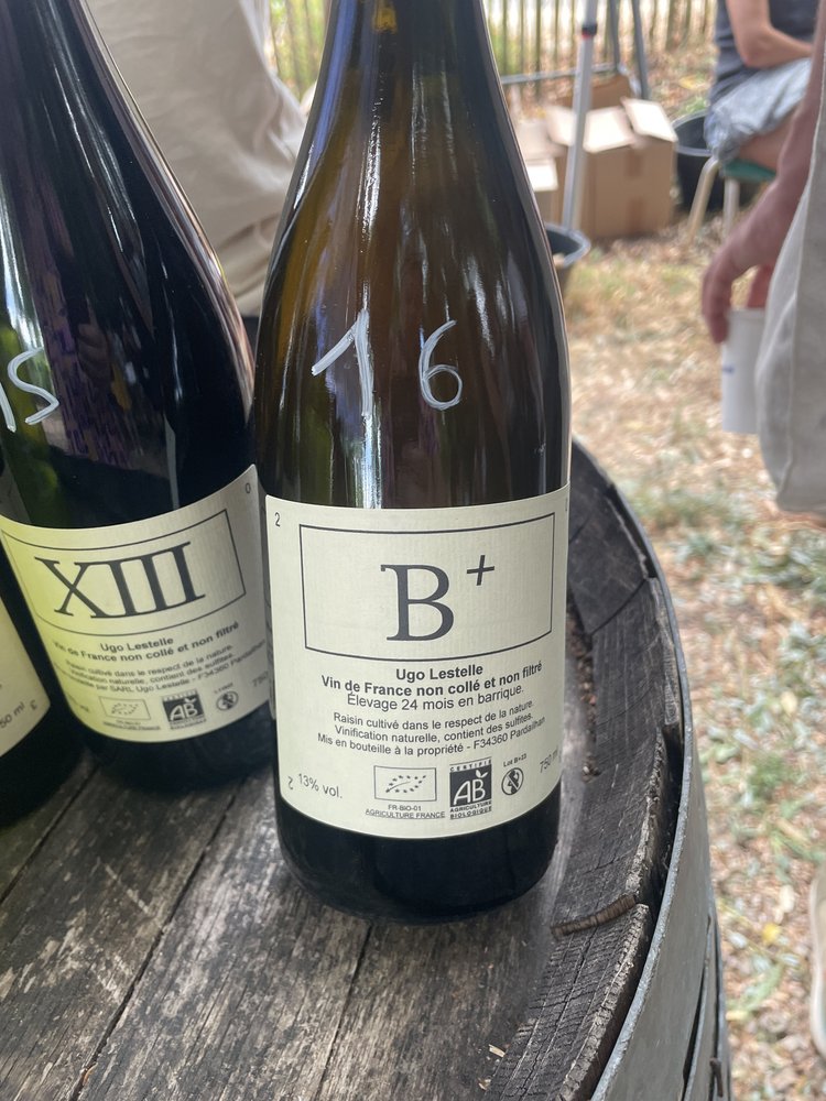 Salon du Vin Libre, Mittelbergheim