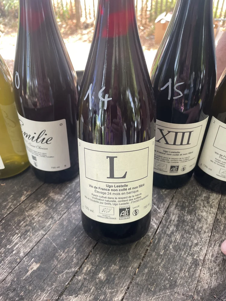 Salon du Vin Libre, Mittelbergheim