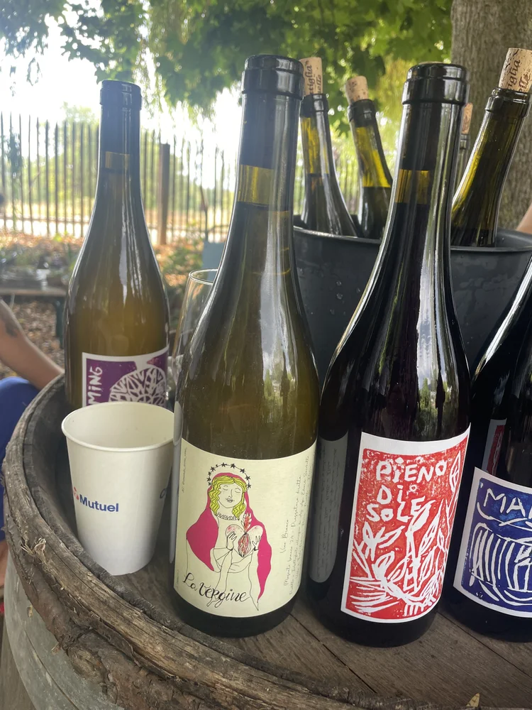 Salon du Vin Libre, Mittelbergheim