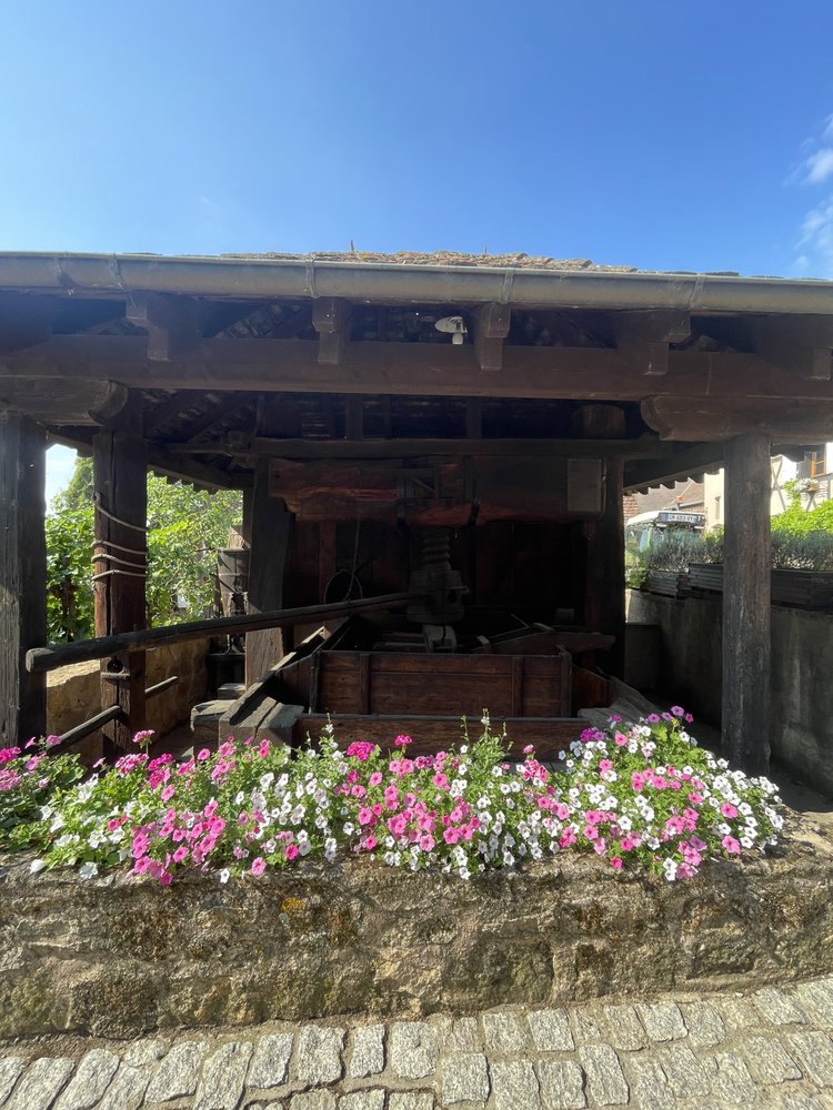 Salon du Vin Libre, Mittelbergheim
