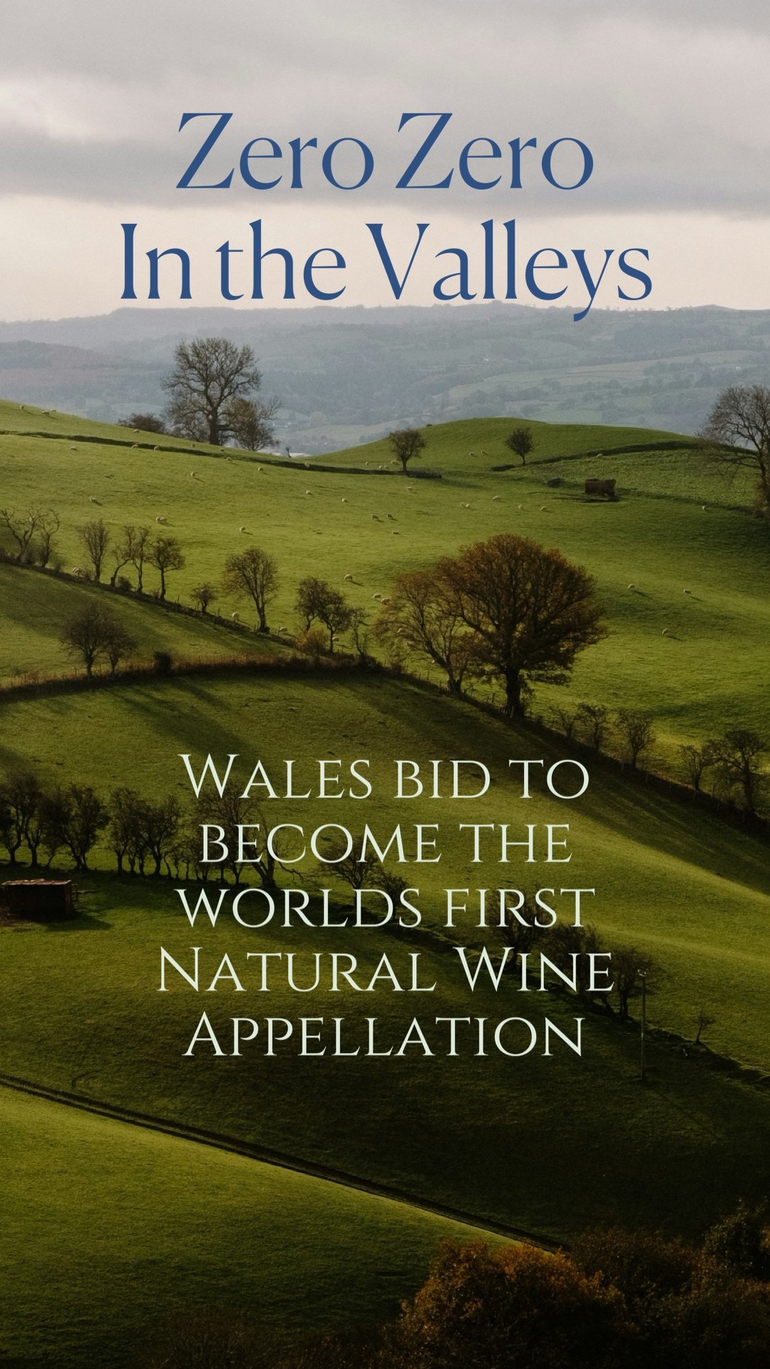 Zero-Zero in the Valleys: Wales Is Rewriting the Rules of Natural Wine