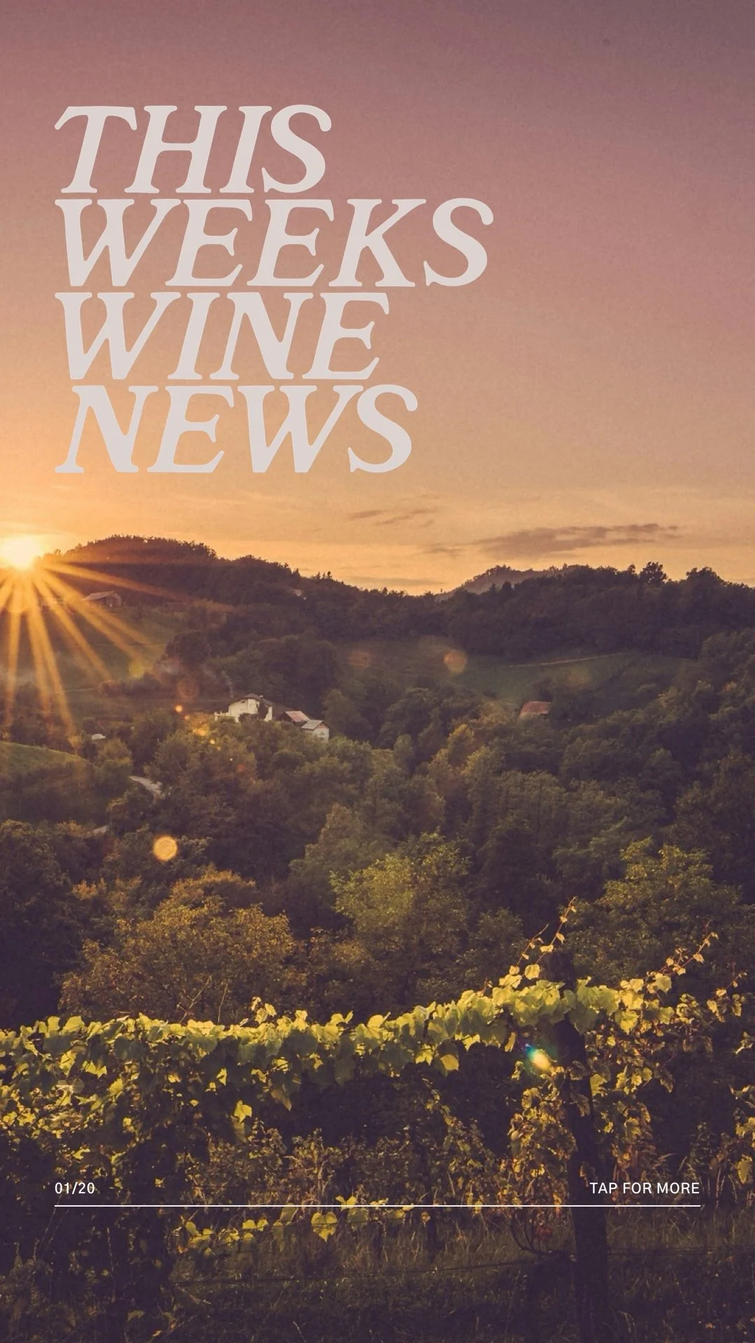 This Weeks News.