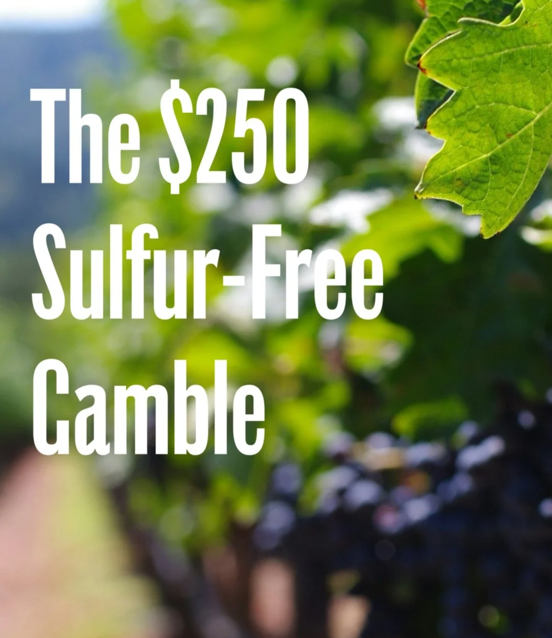 The $250 Sulfur-Free Gamble