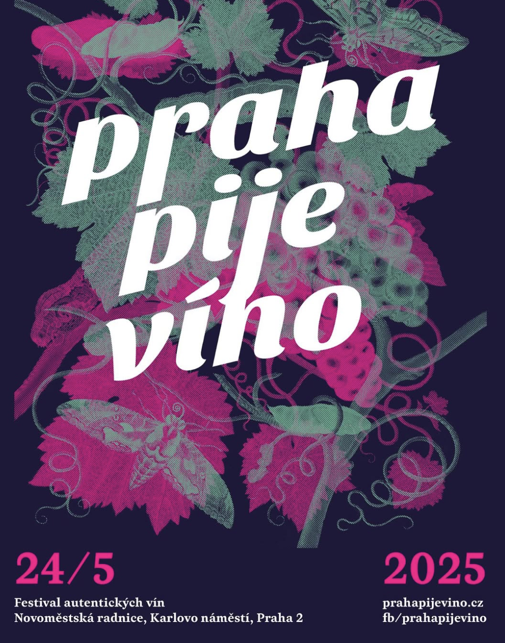 Prague Drinks Wine