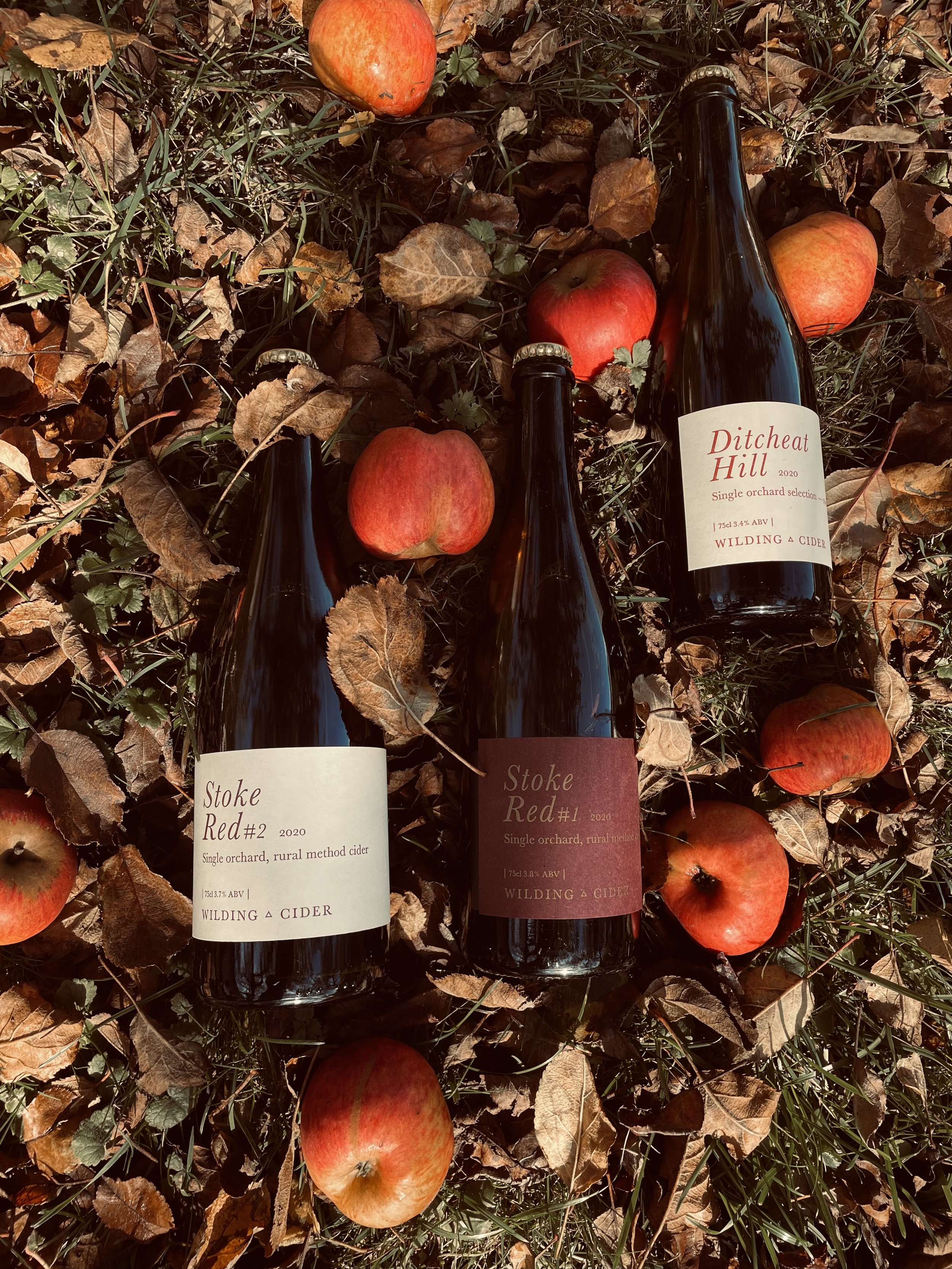 Cider wilding cider