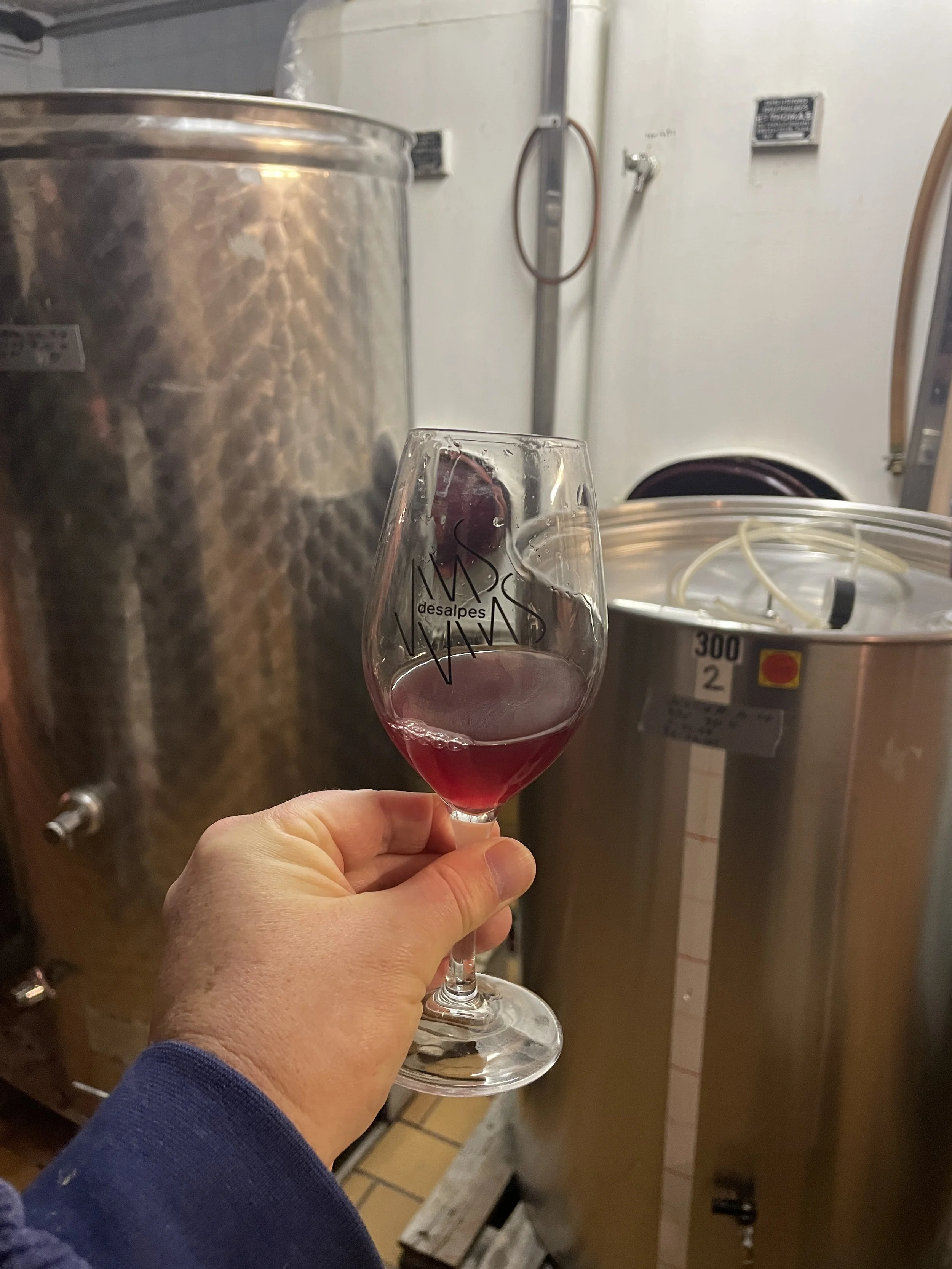PInot Noir