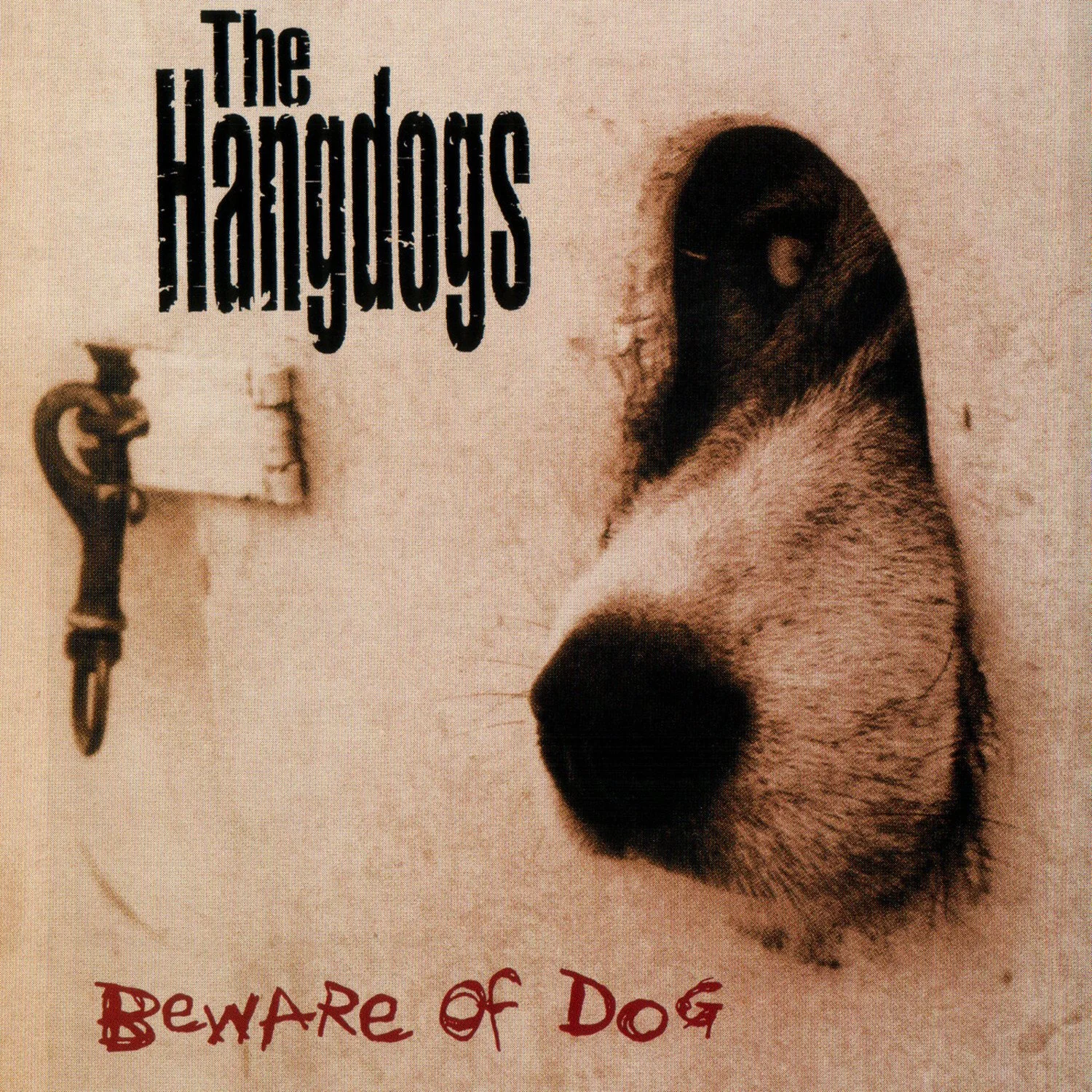 Beware Of Dog