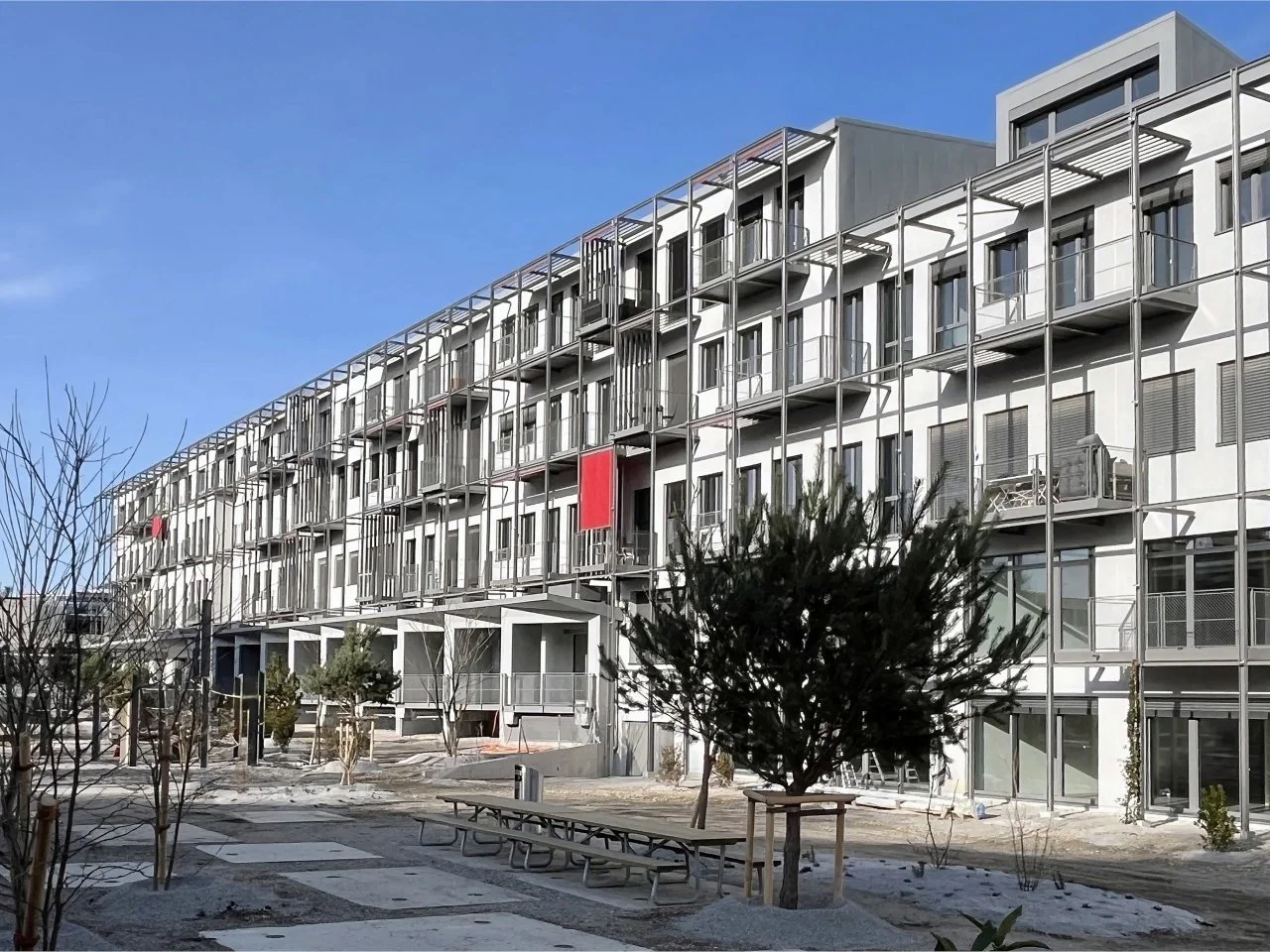 Chêne 5 | 2025