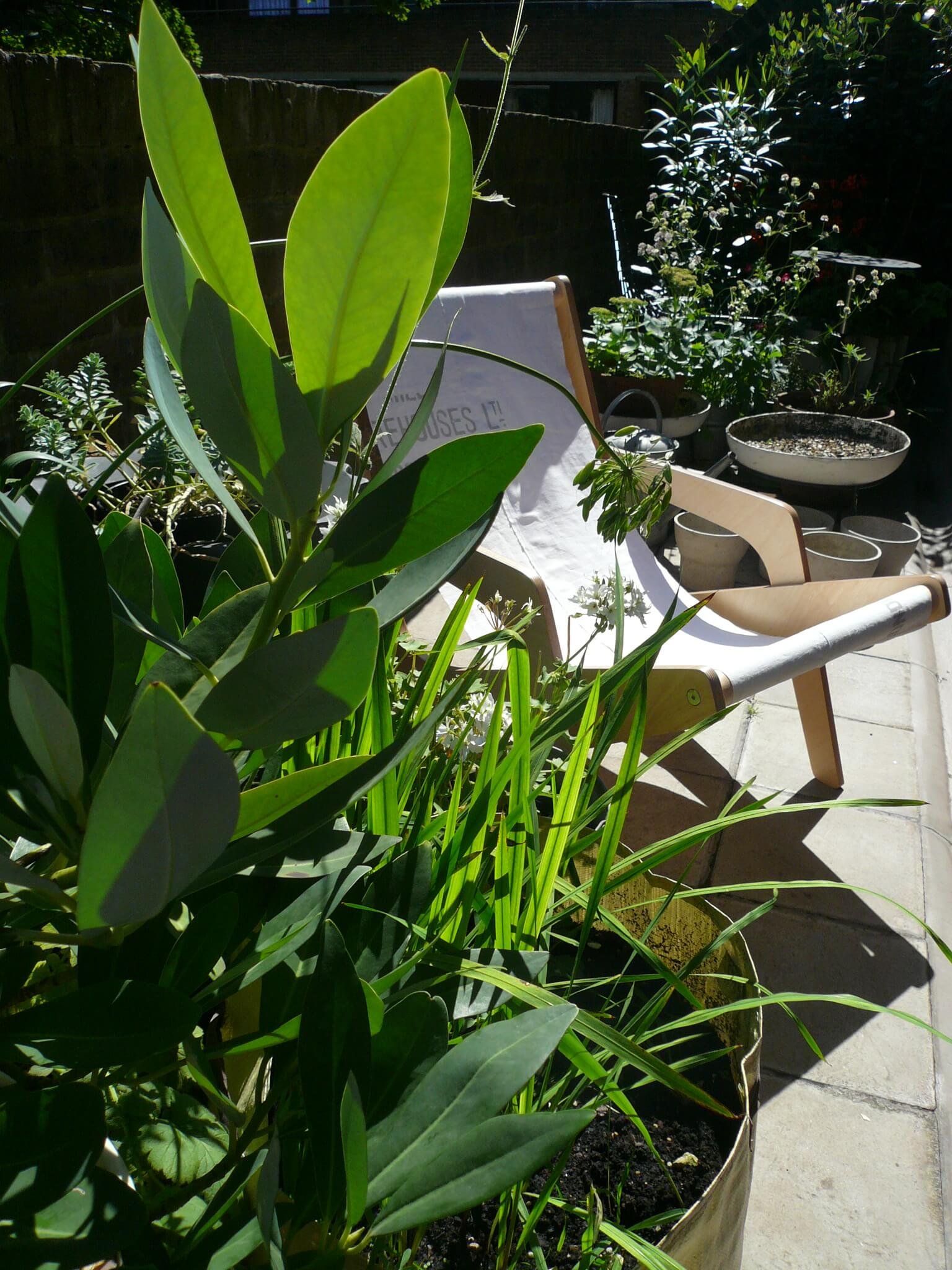 furniture-design-slip-chair-outdoor-plantsJPG.jpeg