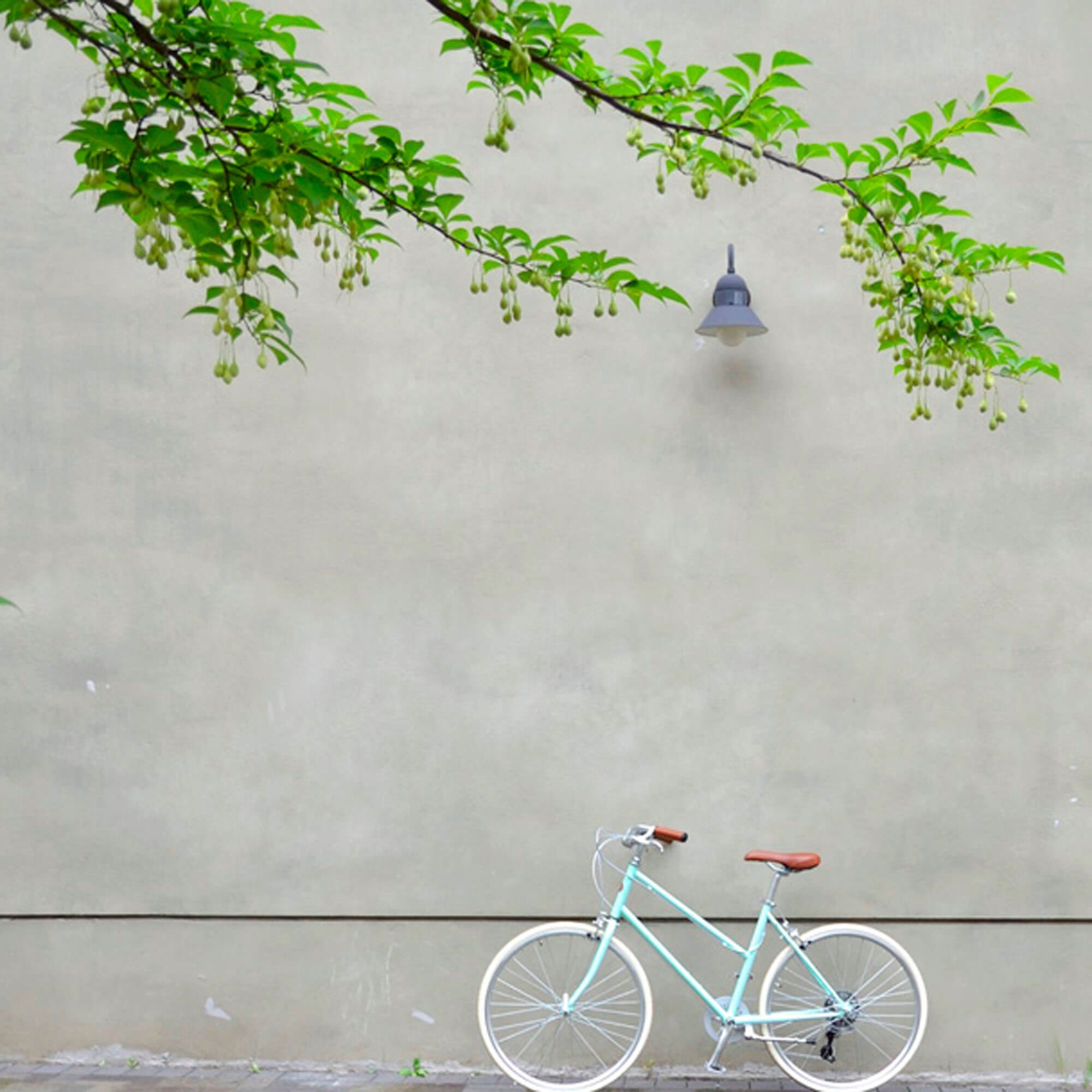 concrete-wall-bicycle.jpg