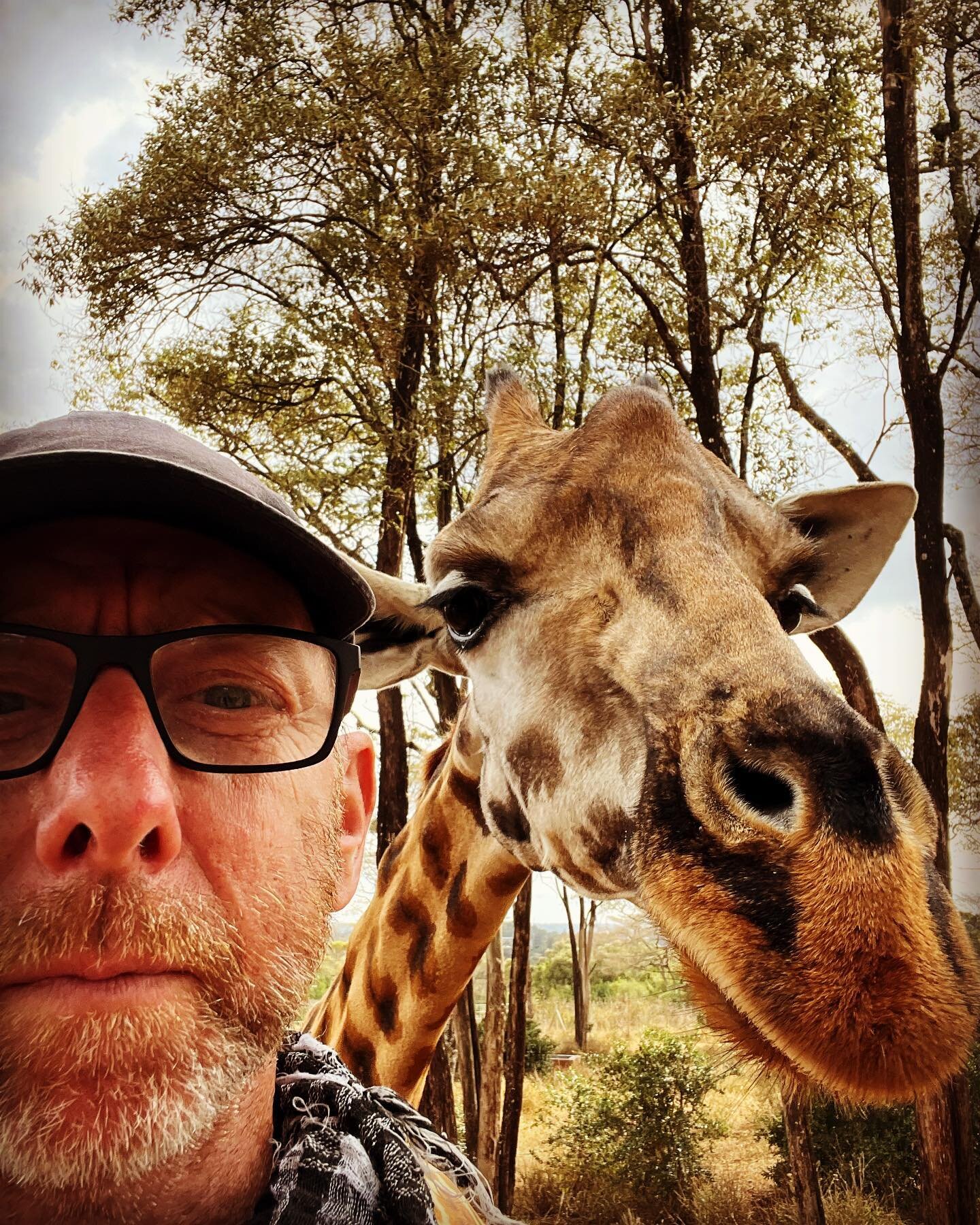 Well Hello ! #kenya #giraffecentre #nairobikenya #safari