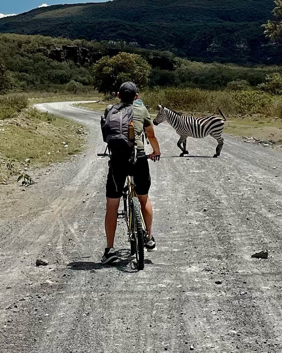 Zebra Crossing #kenya🇰🇪 #hellsgatenationalpark #zebra #cycling #africa