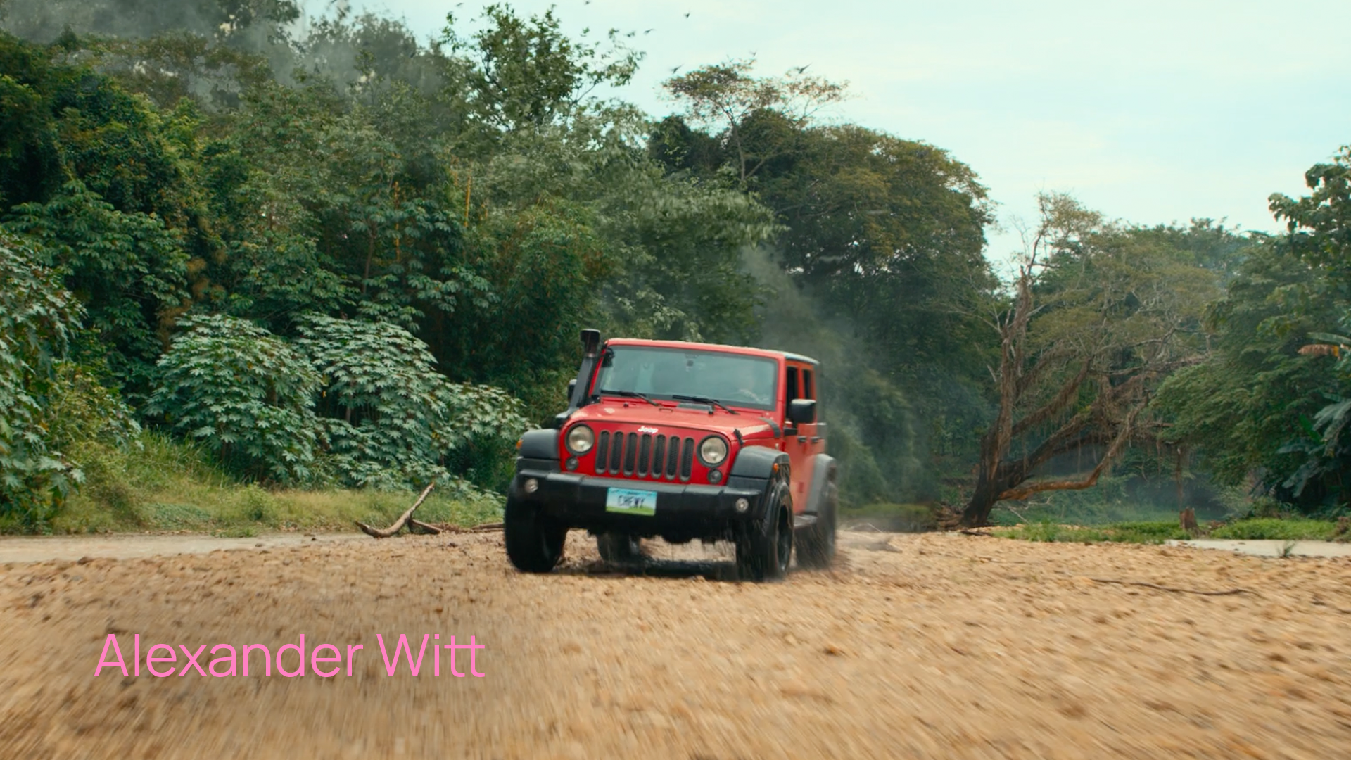 Alexander Witt Pink.png