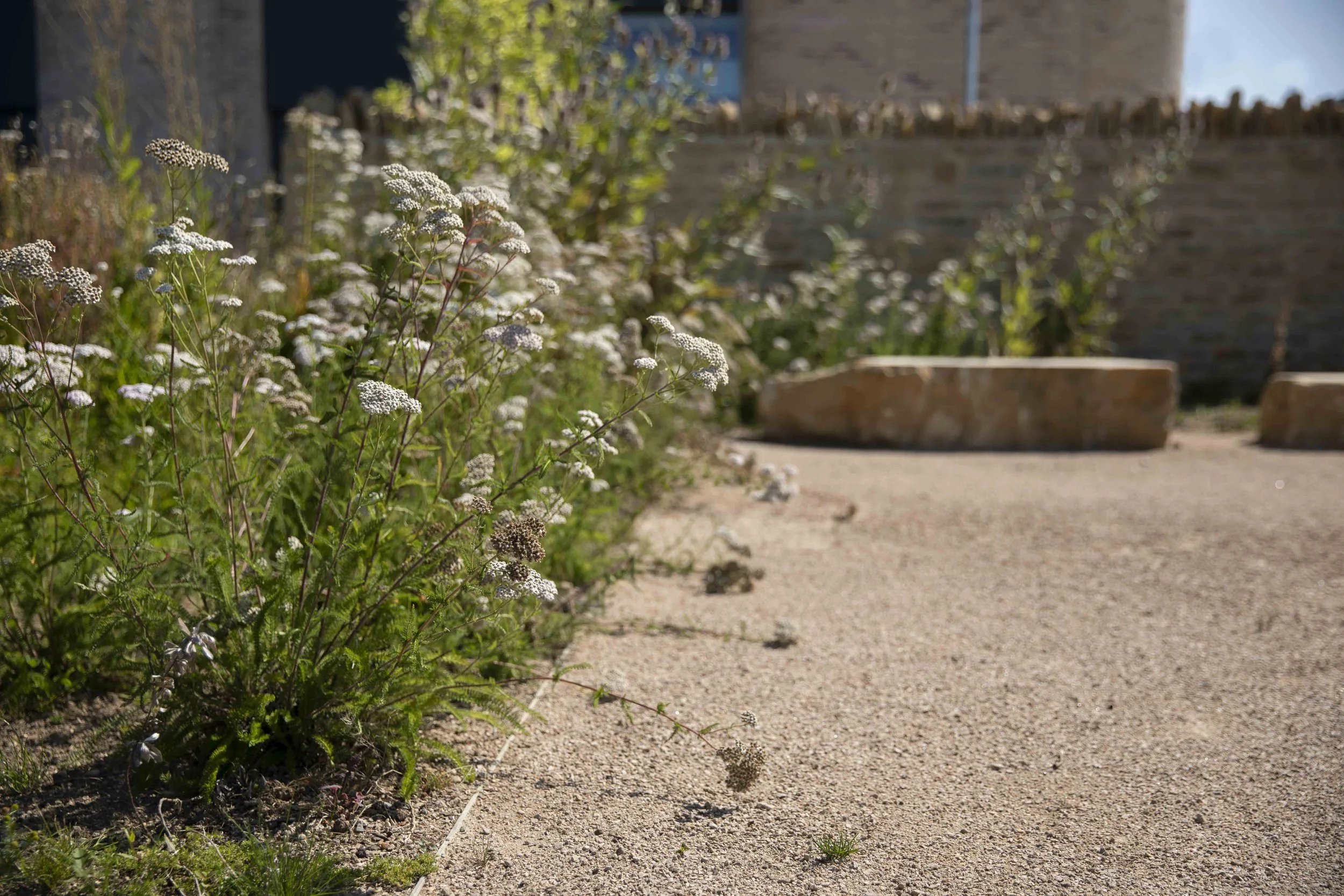 09_Weed-Garden_Y-ThibaultPicazo_web.JPG
