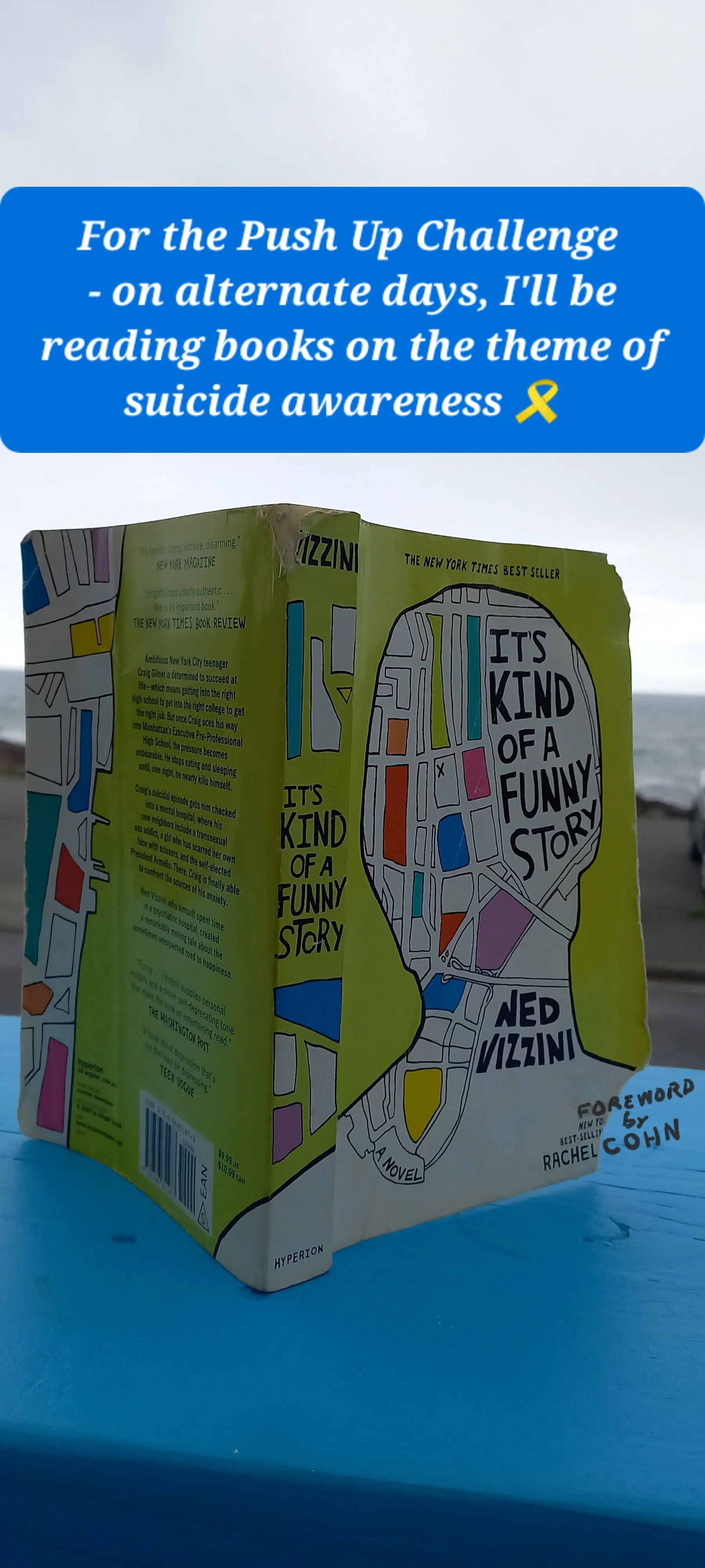 It's Kind of a Funny Story (Hyperion) by Ned Vizzini. Cover illustration by Abigail Smith.