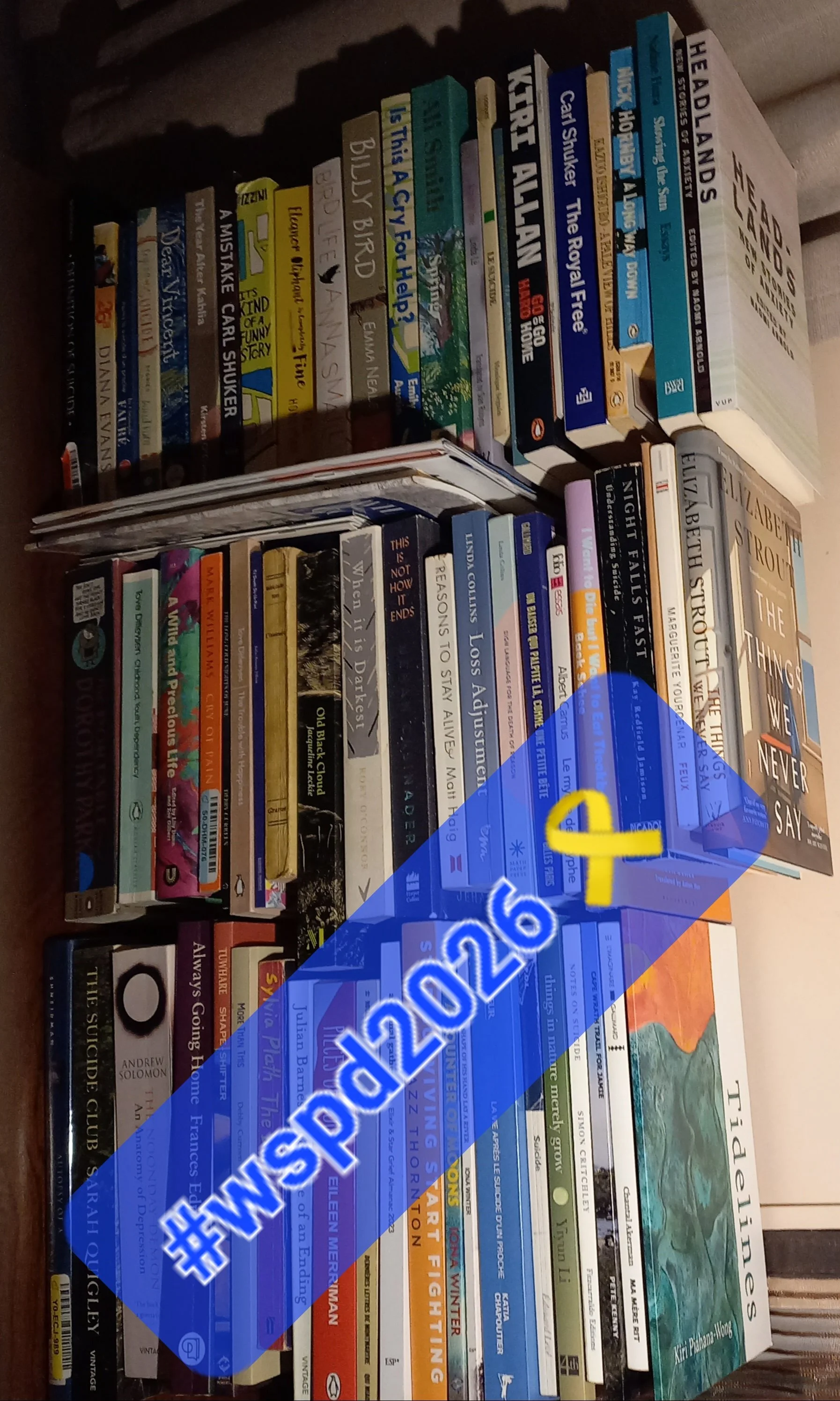 Books for #WSPD2026