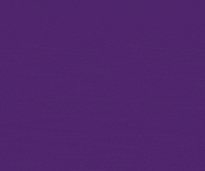 ASI_26_MW_MPU_300 x 250 px_D1.gif