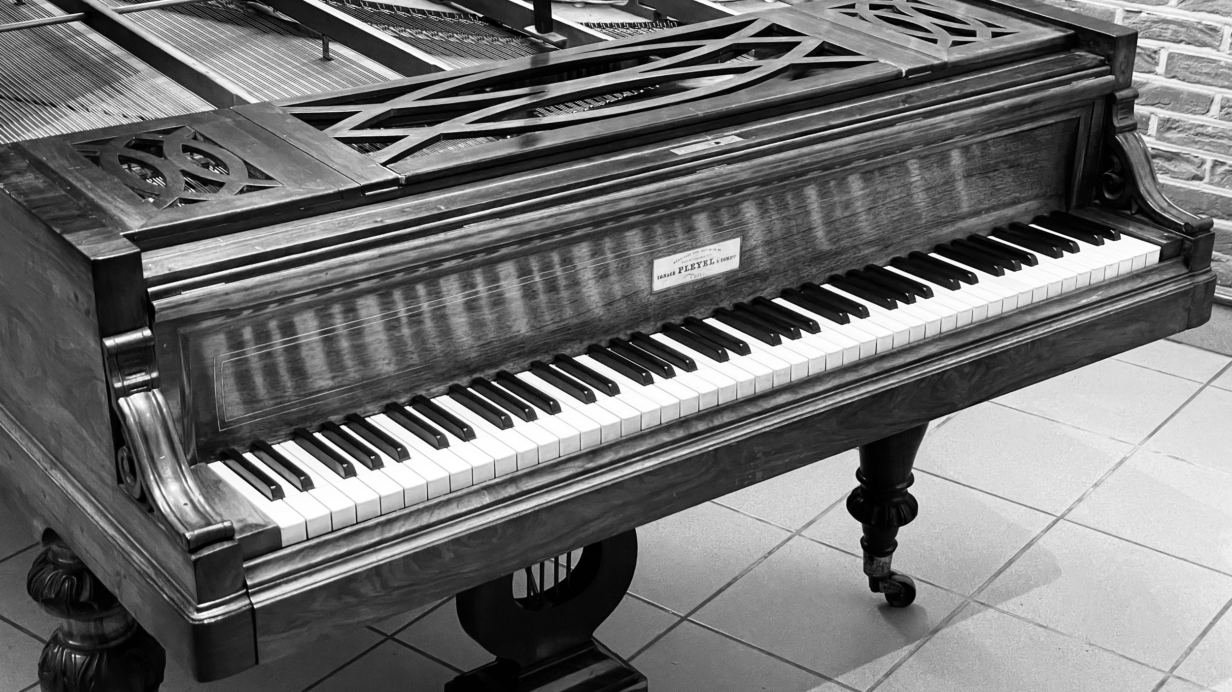 Ignace Pleyel modèle D - professioneel