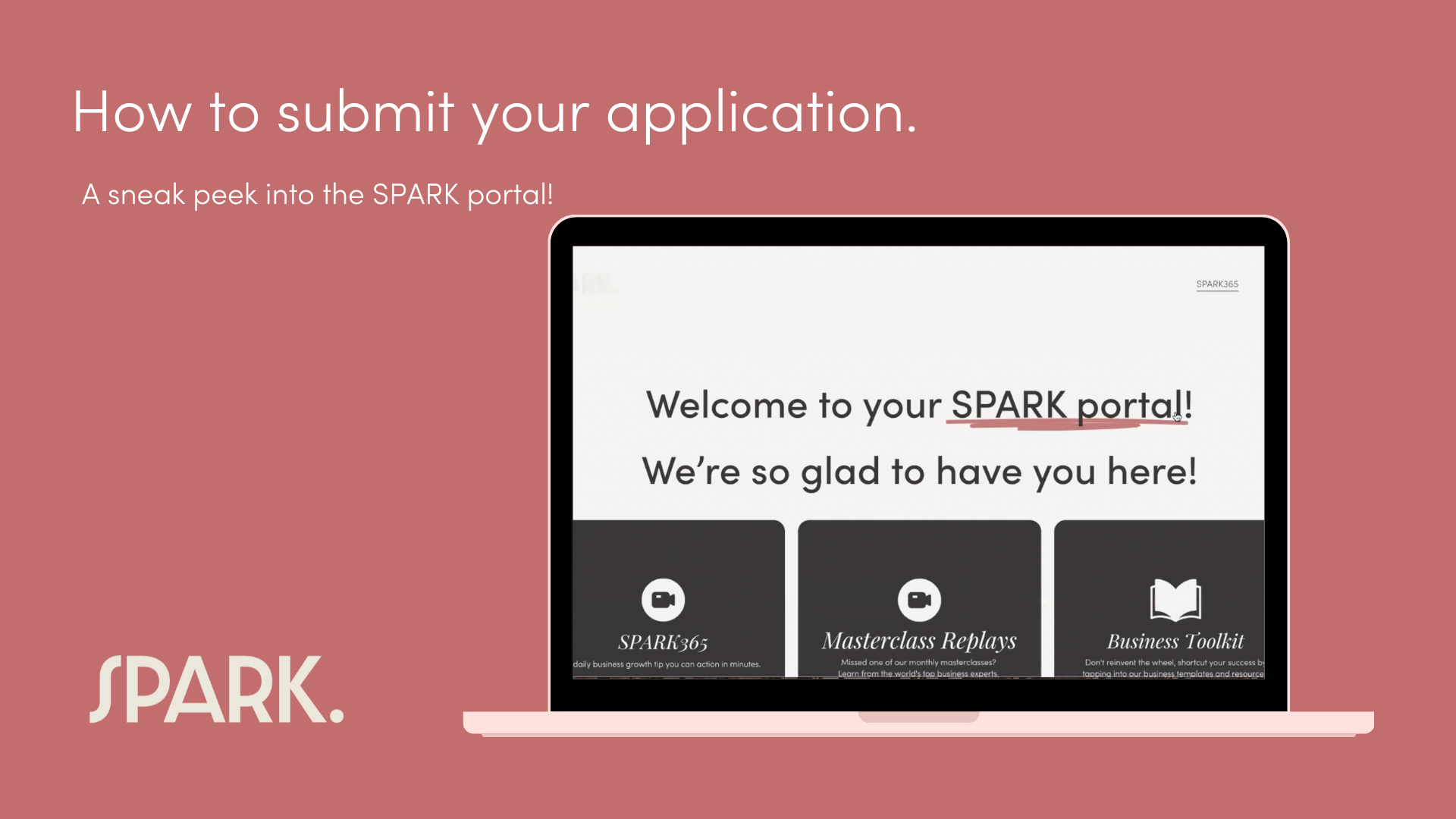 Spark Incentive Program SPARK Biz Grants backup β SPARK