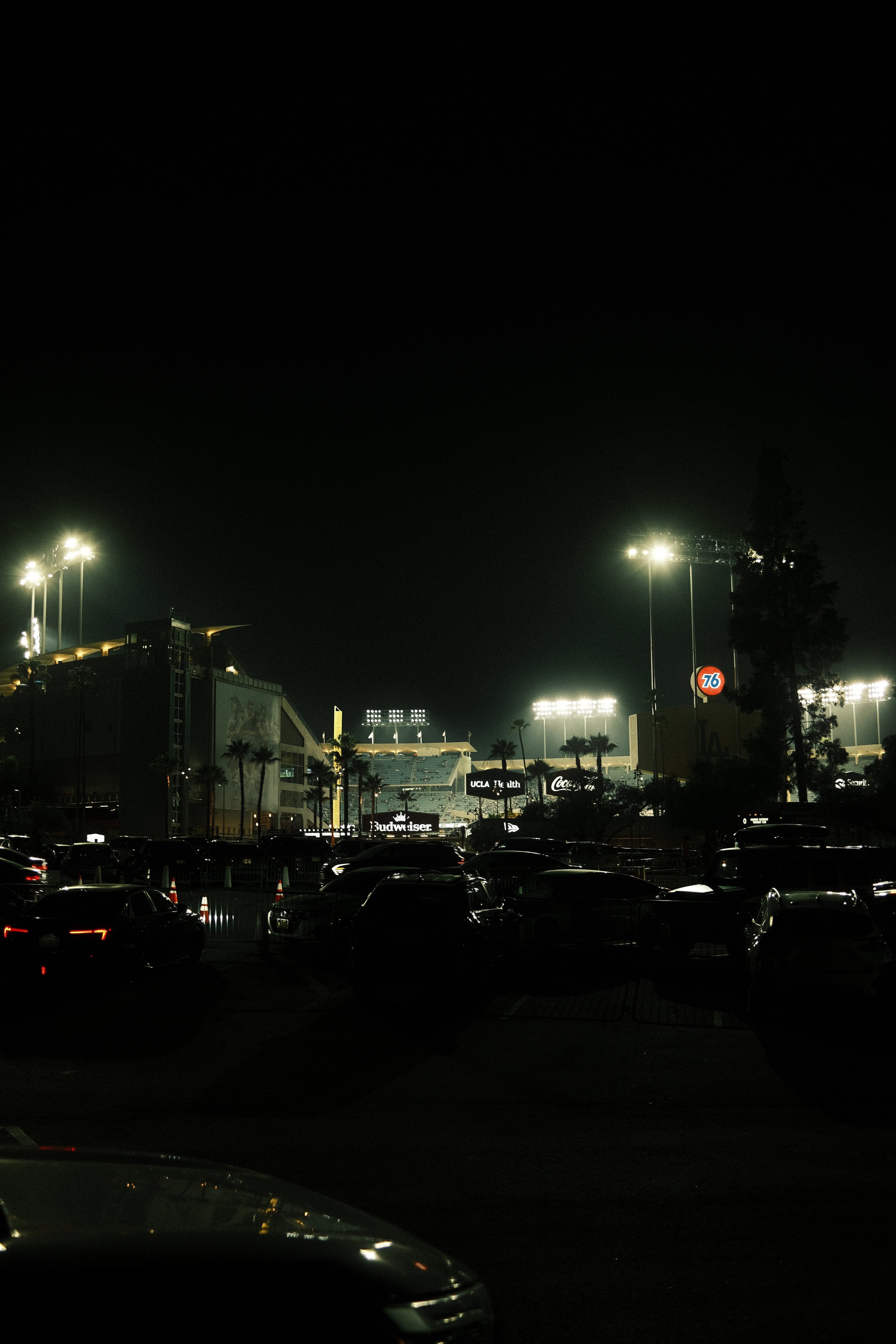 DSCF6200.JPG