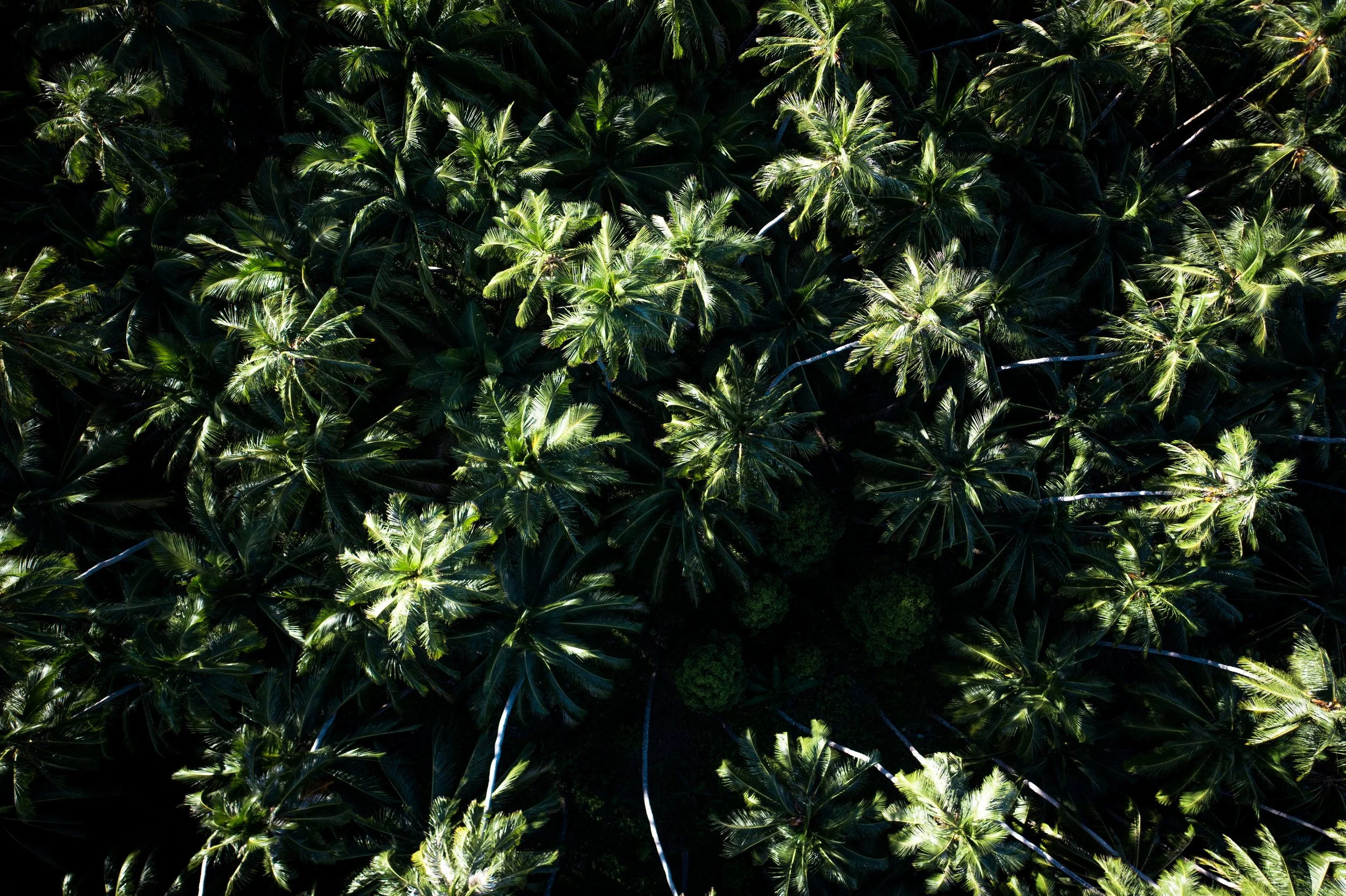 DJI_0374.jpg