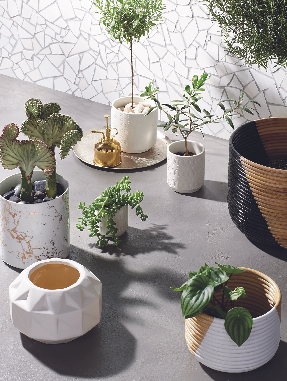 cb2-february-catalog-2017-94.jpg