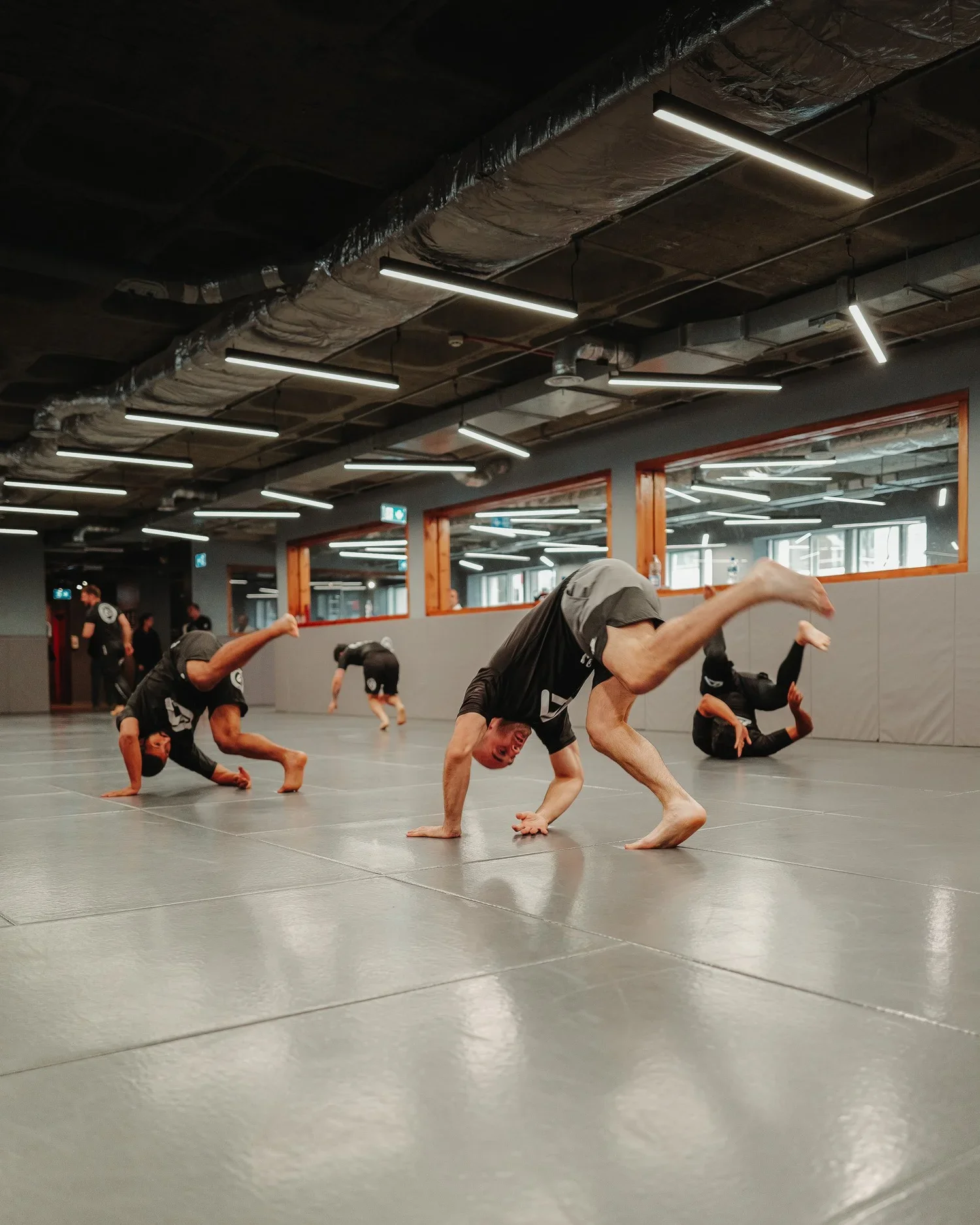 L1000501.webp