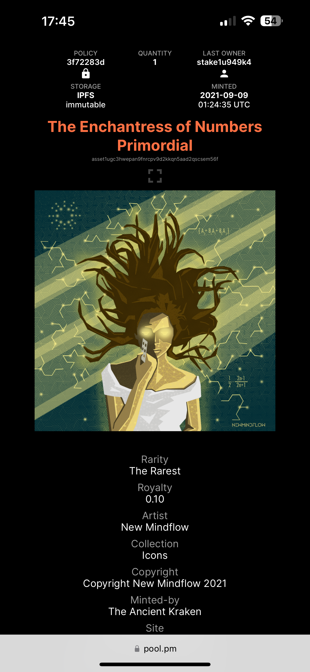 pool.pm Mobile - Enlarged NFT with Metadata Details