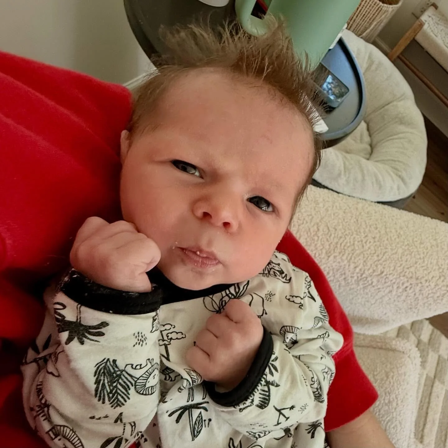 Put up your dukes! 🤜🤛

#baby #newborn #charleston #postpartum #thursday