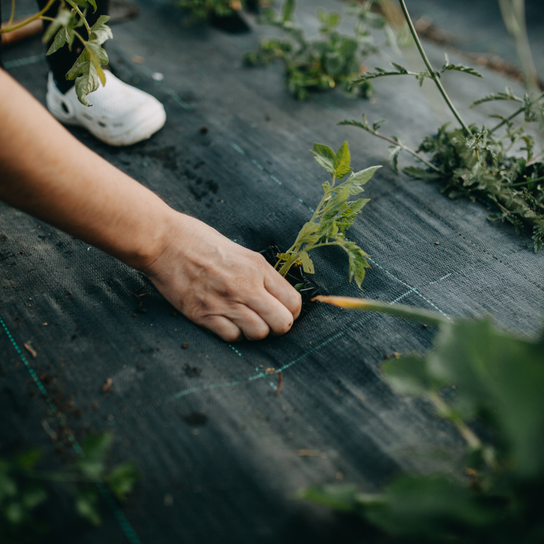 Why the Future of Business Development Still Needs People