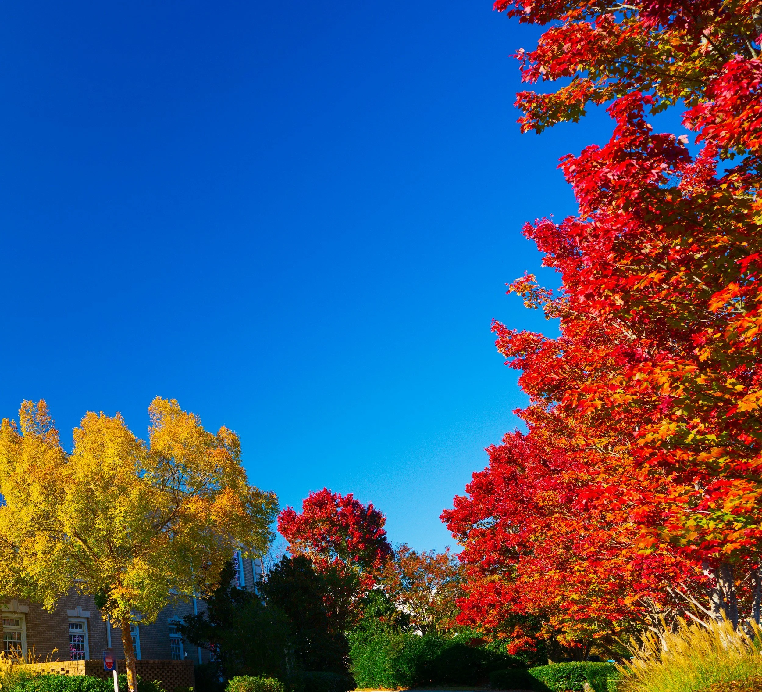 Maximizing Revenue During Peak Seasons: The Ecommerce Advantage