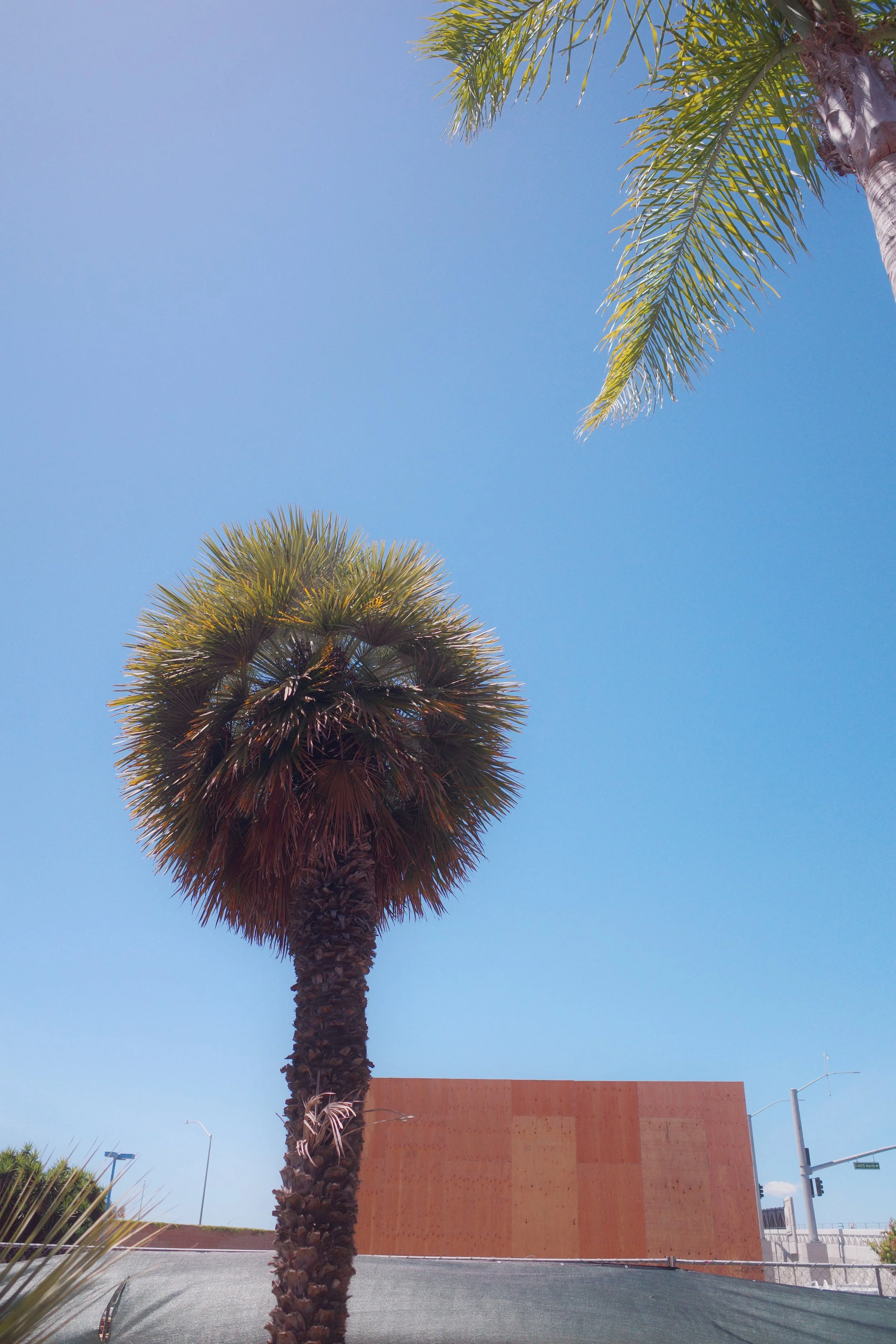 R0000194.JPG