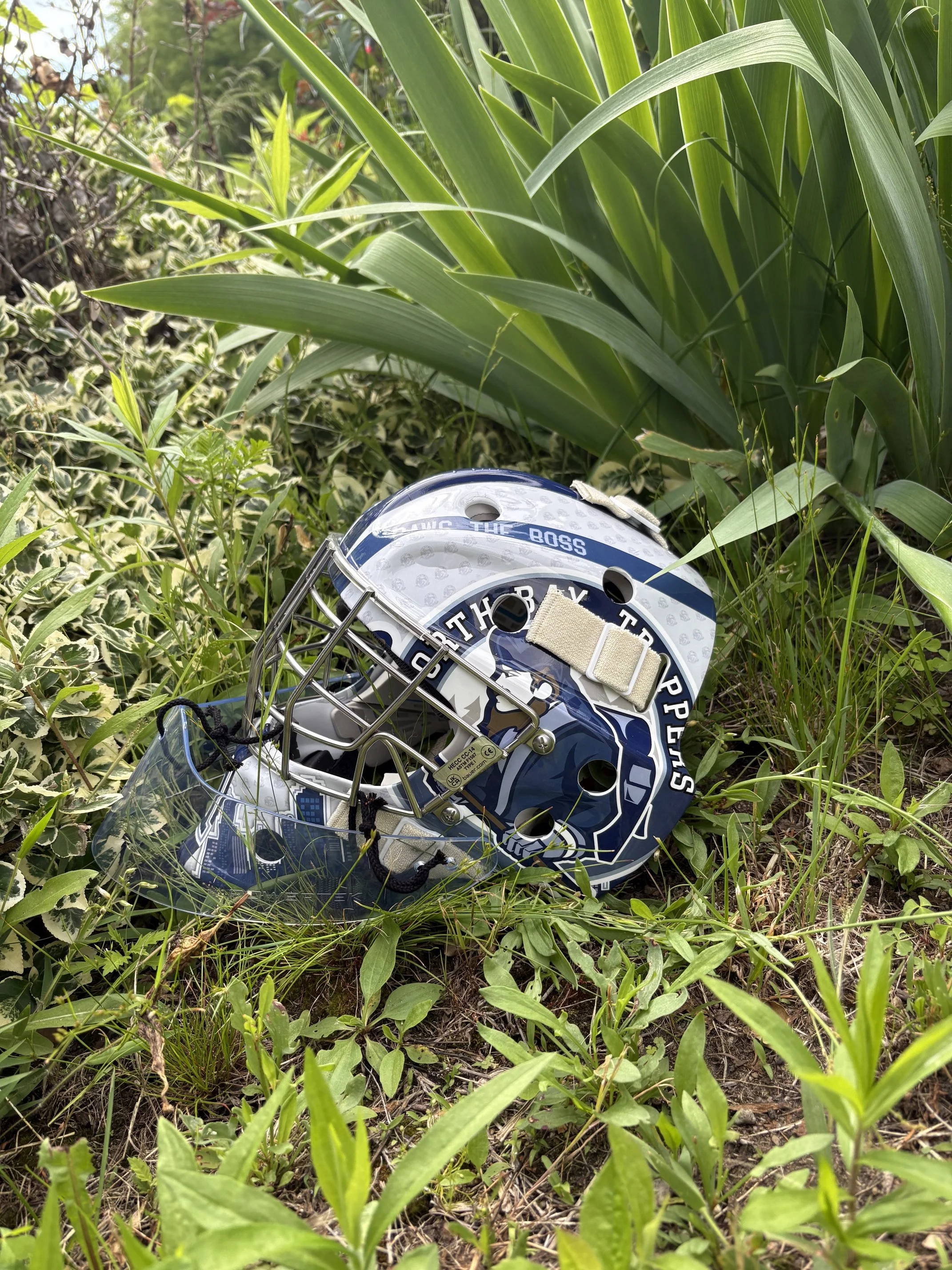 Inspired by Stewart Skinner's helmet with the Edmonton Oilers
