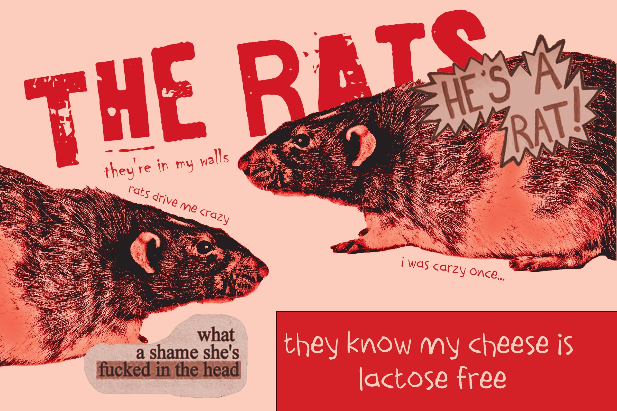 The Rats Postcard