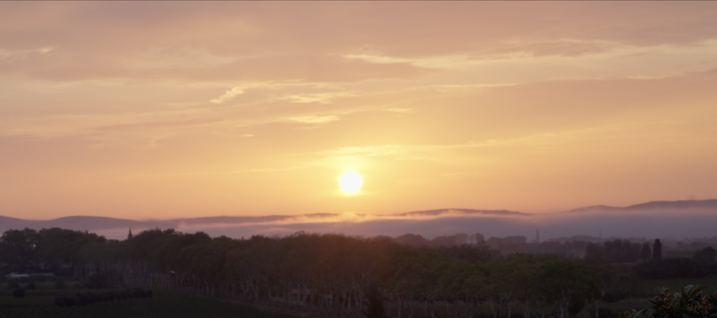 Capture d’écran 2024-03-01 à 14.20.24.png