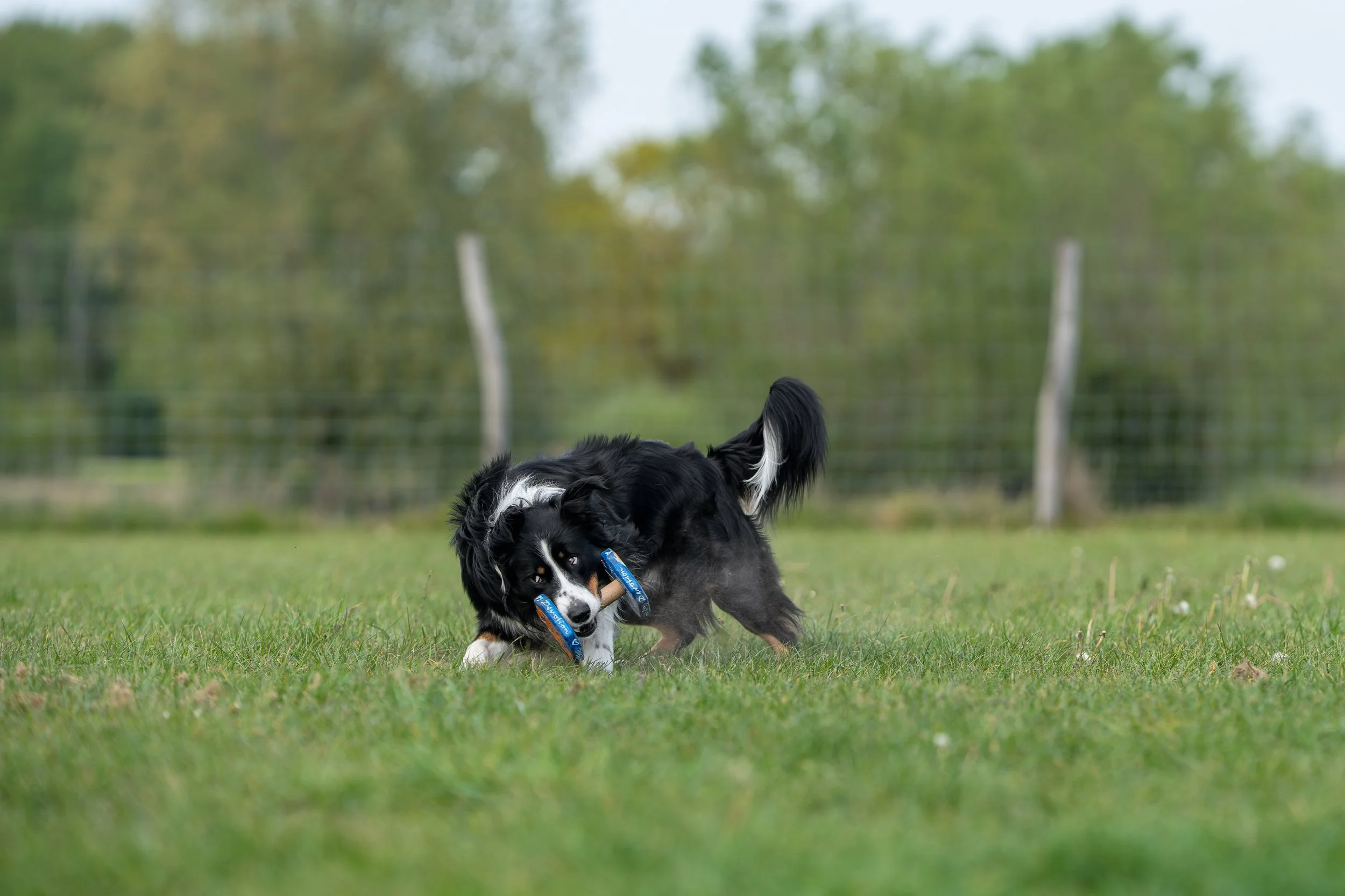 DSC00496.jpg