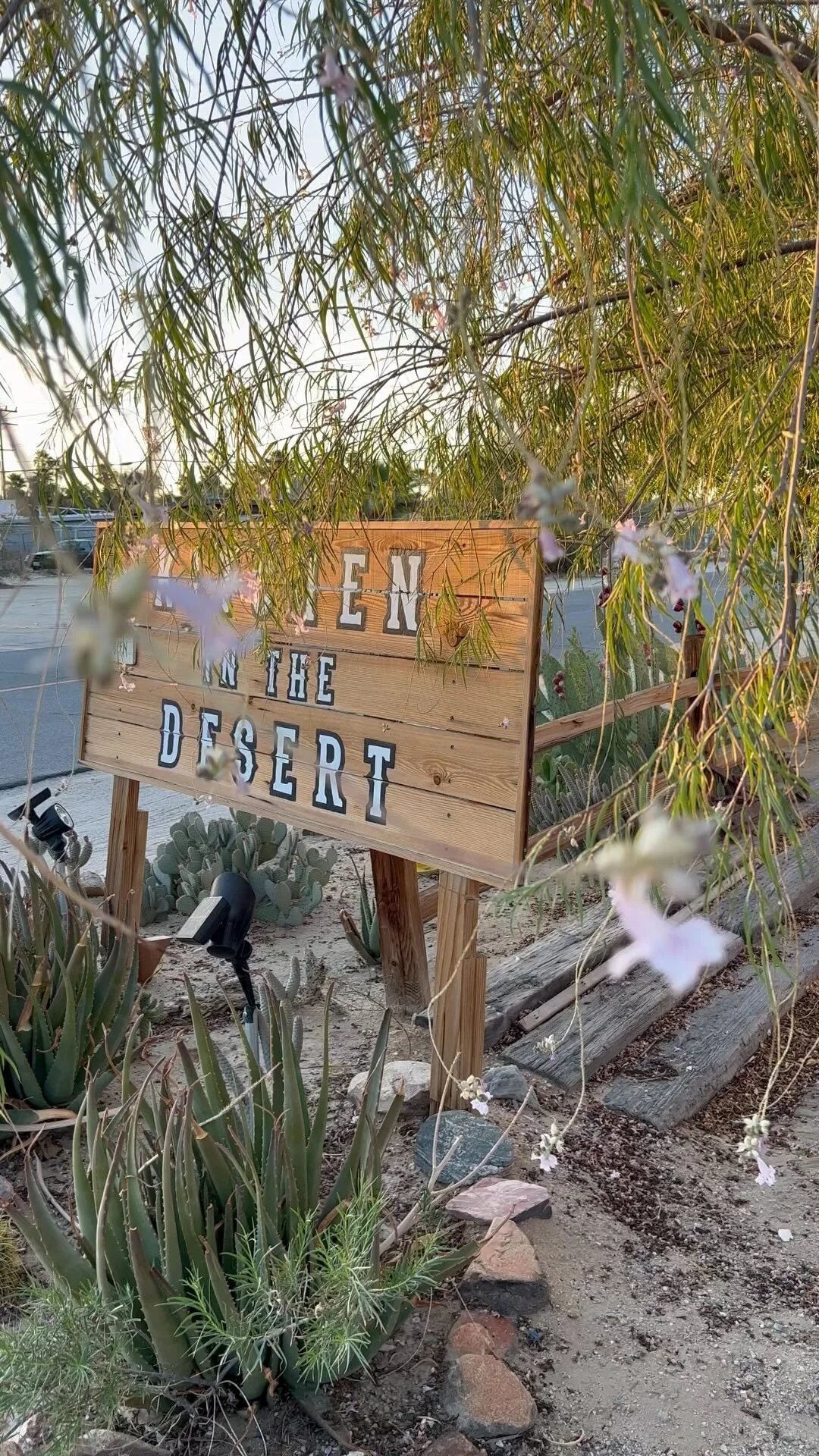 Kitchen In The Desert
