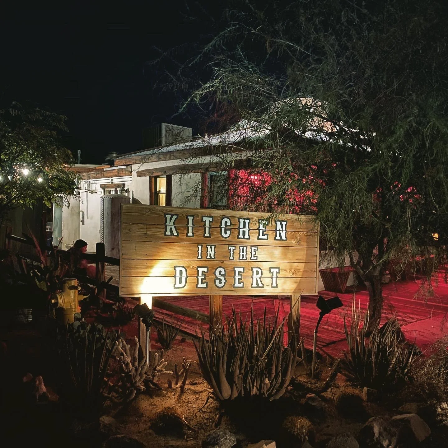 Kitchen In The Desert